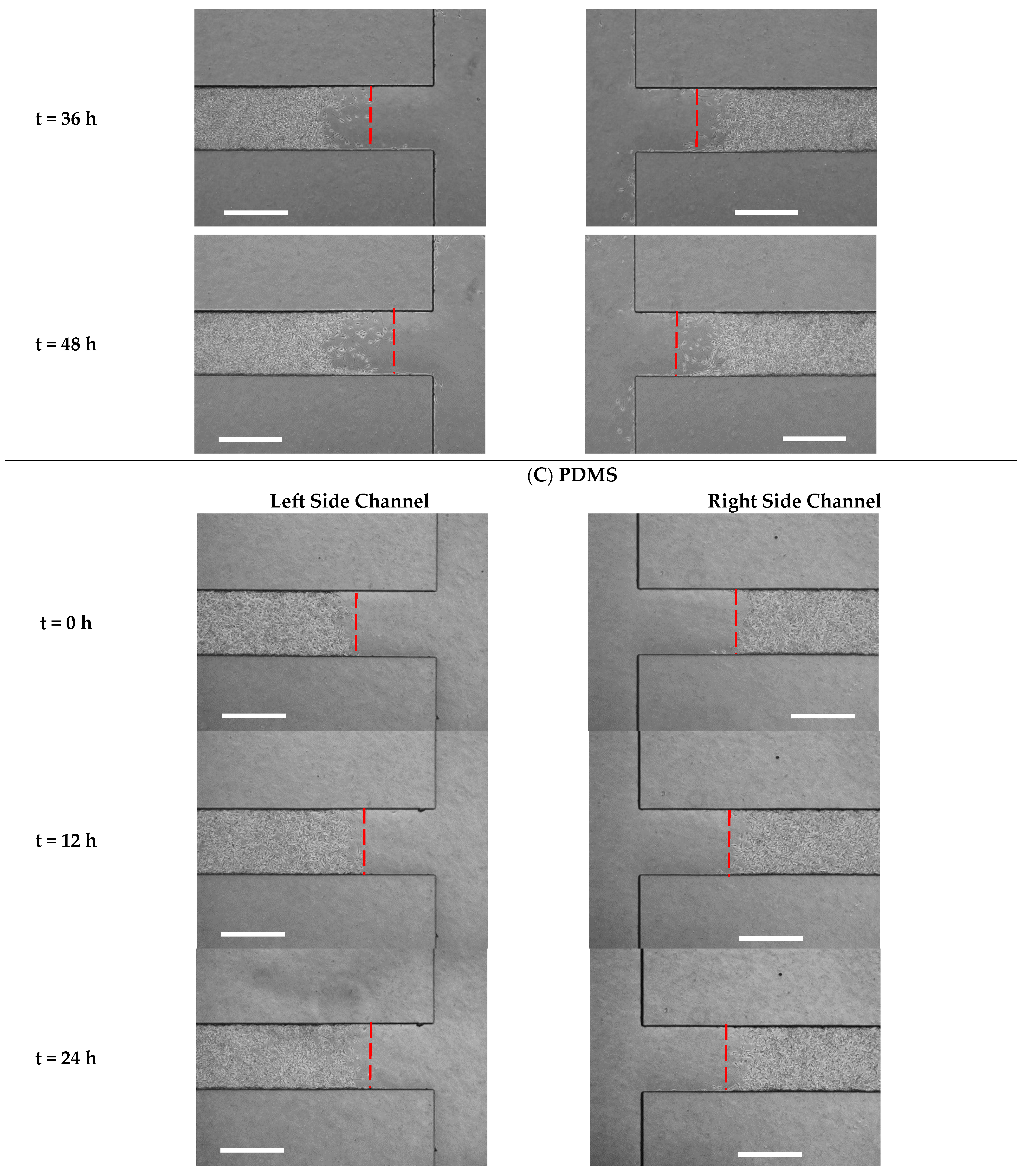 Biosensors 13 00290 g005c Biosensors 13 00290 g005c