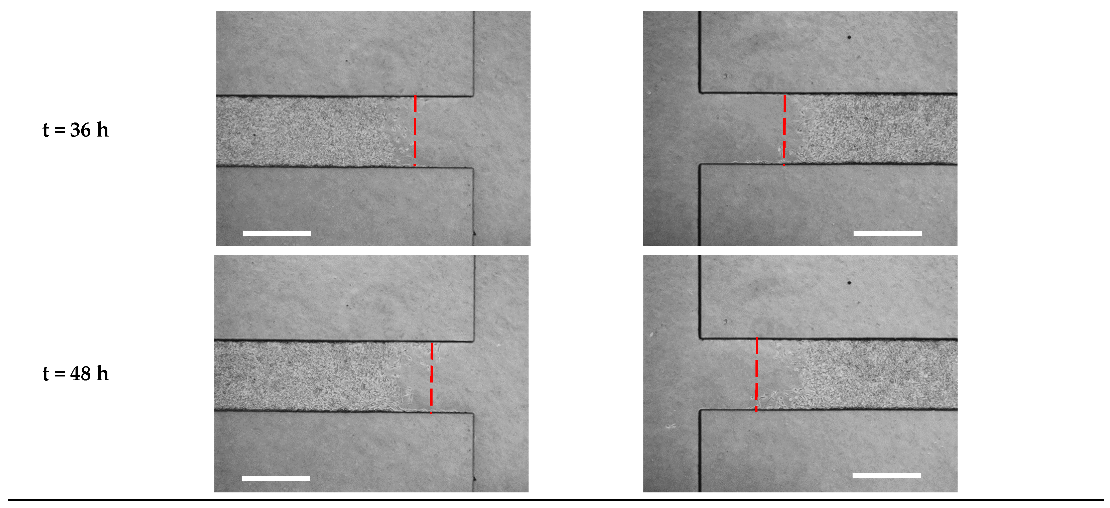 Biosensors 13 00290 g005d Biosensors 13 00290 g005d