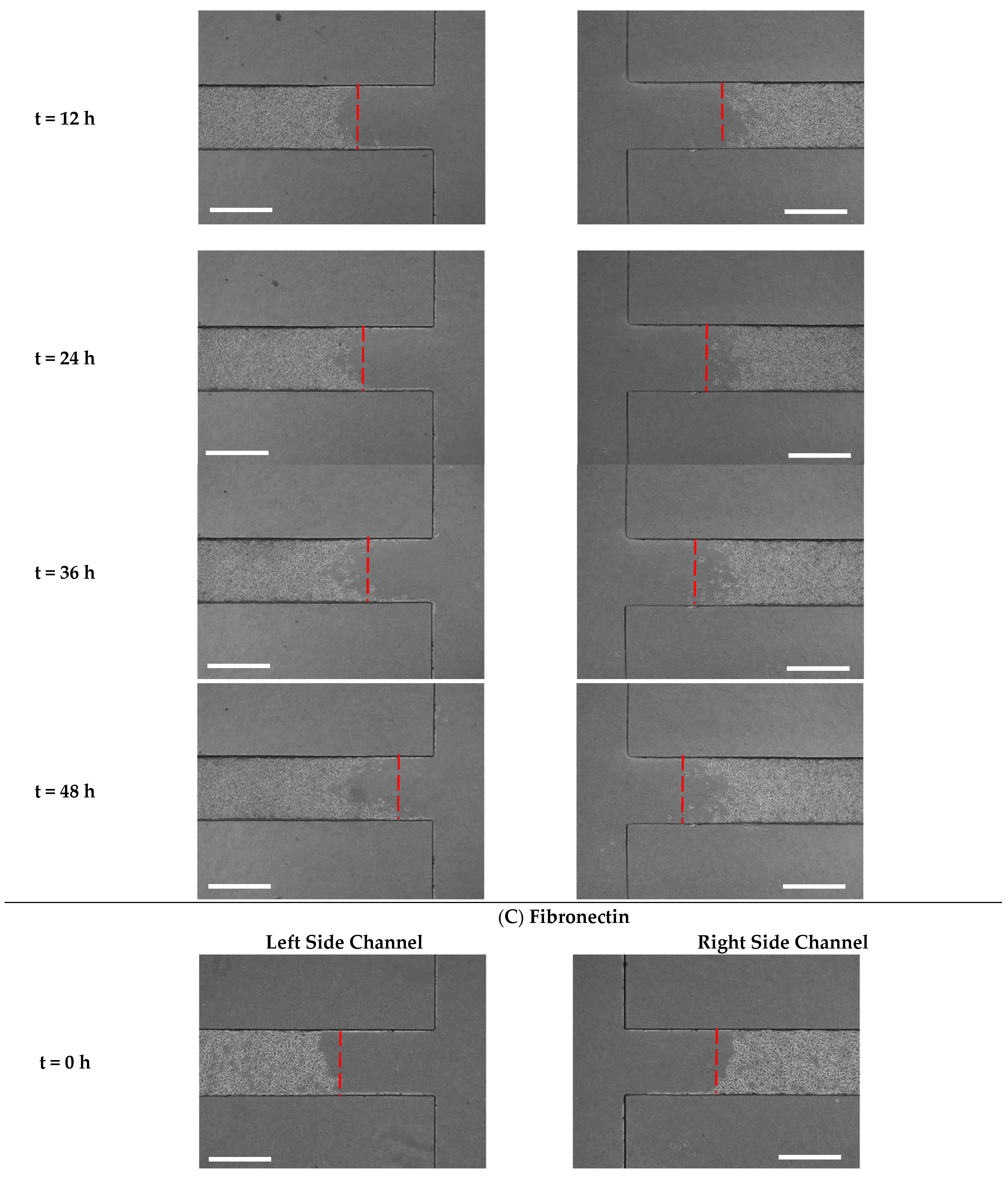 Biosensors 13 00290 g007c Biosensors 13 00290 g007c