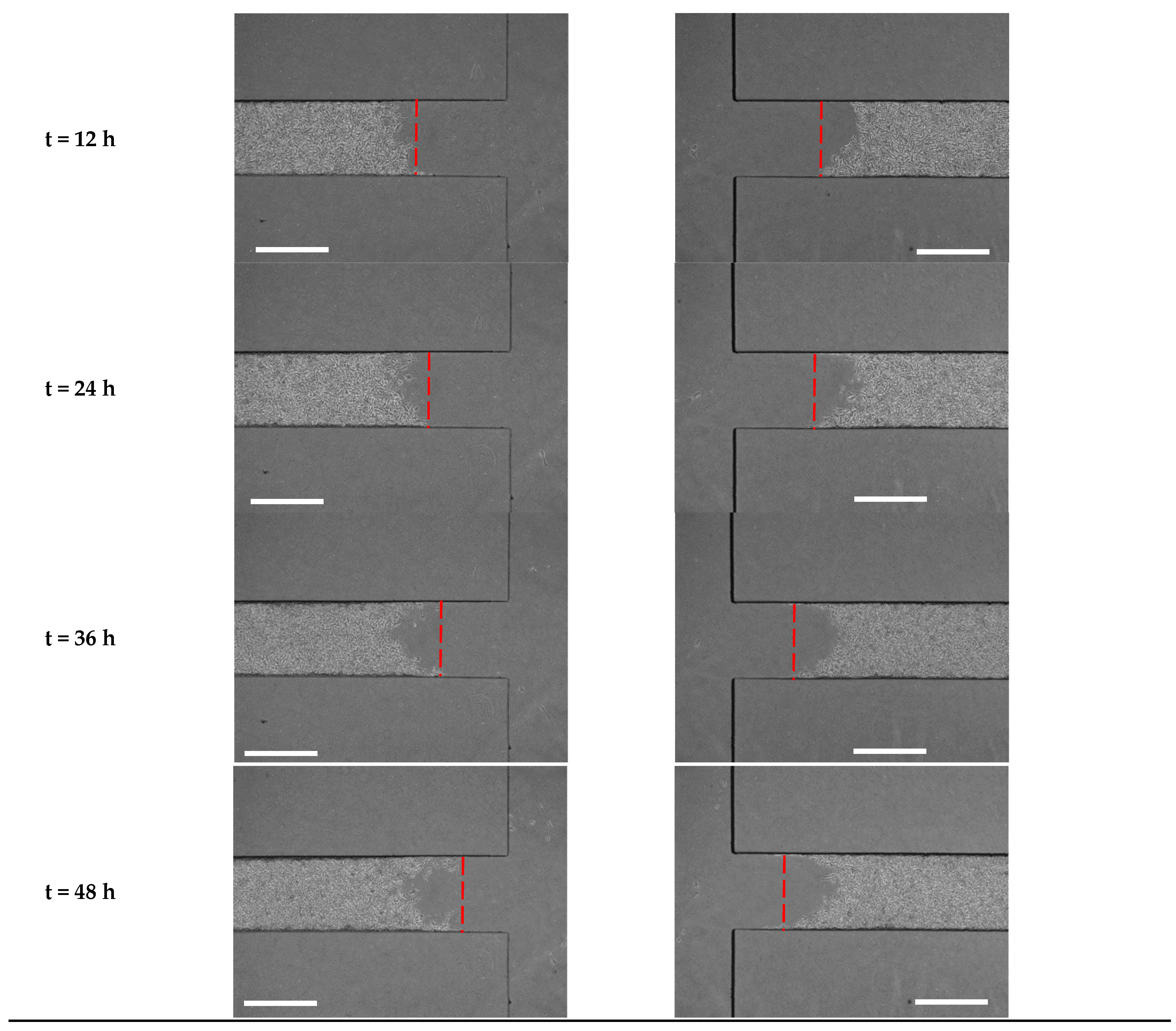 Biosensors 13 00290 g007e Biosensors 13 00290 g007e