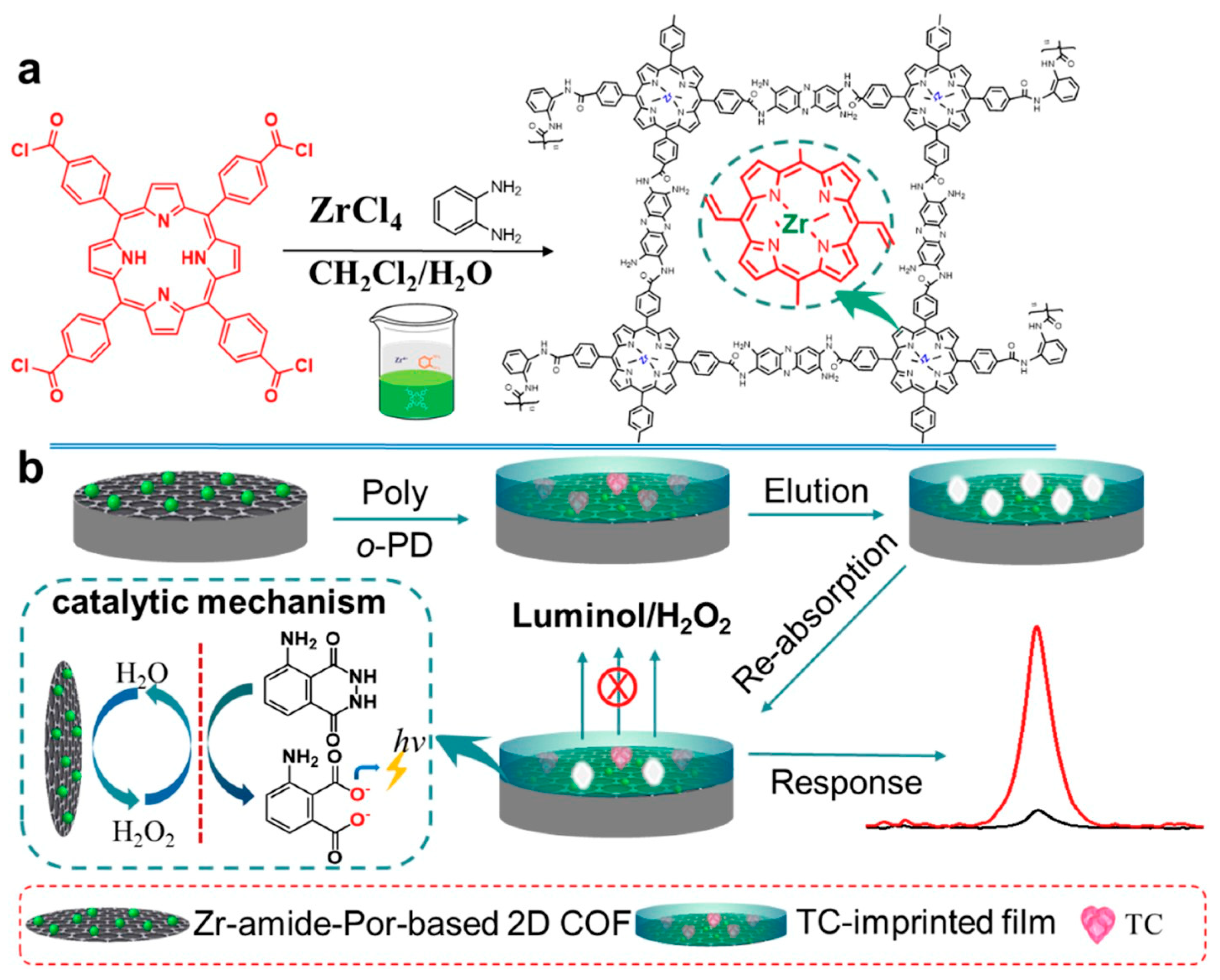 Biosensors 13 00291 g006