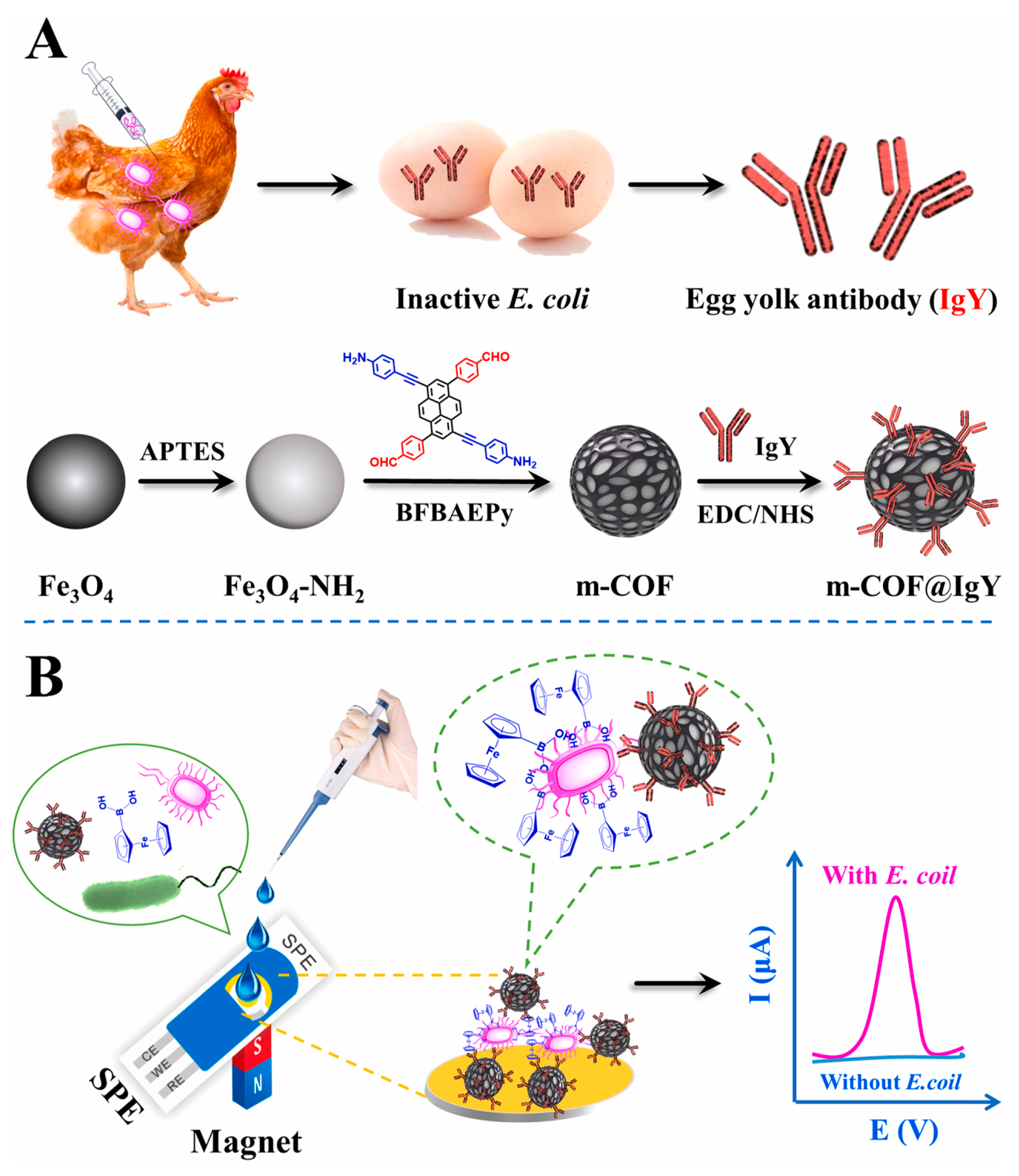 Biosensors 13 00291 g008