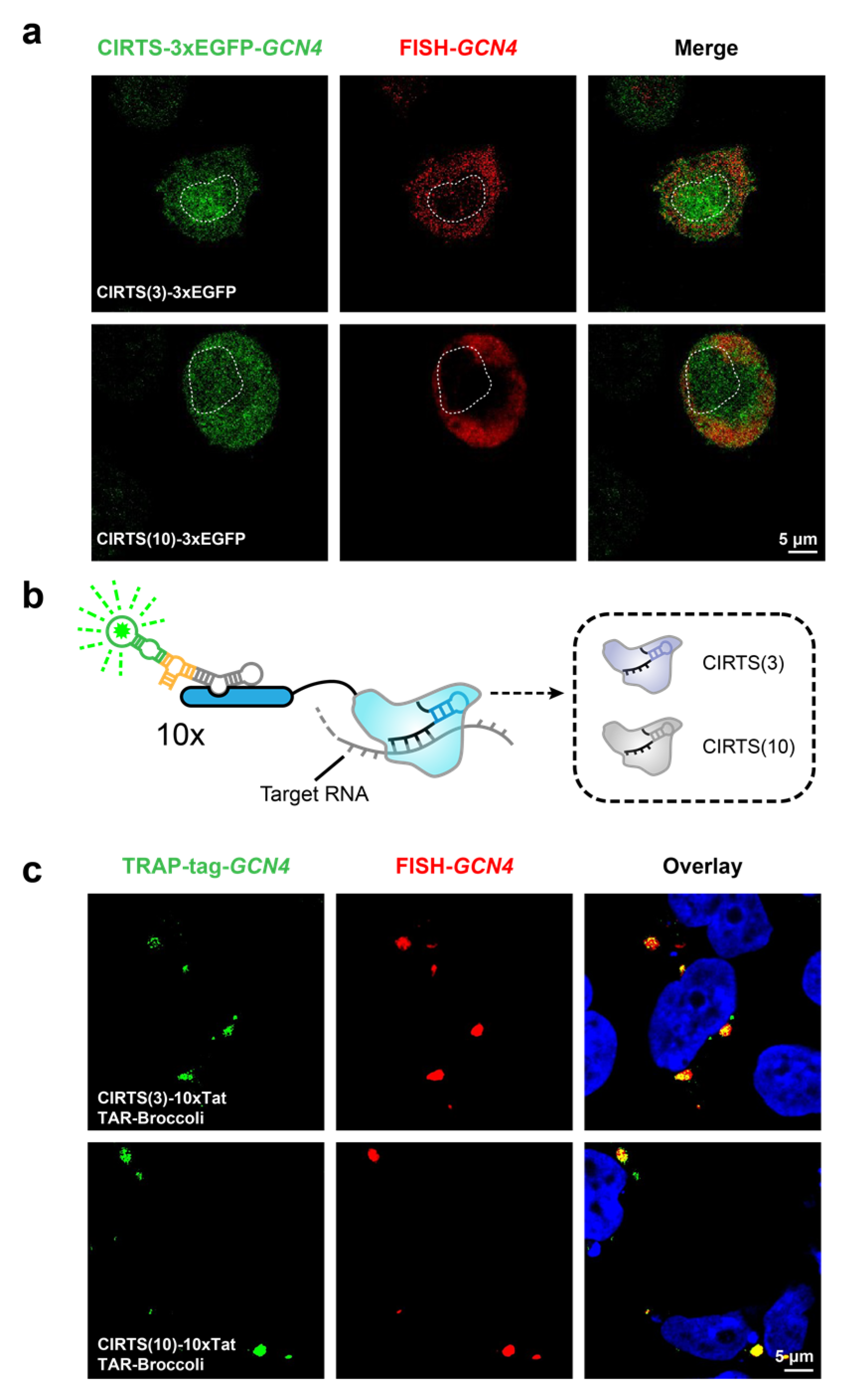 Biosensors 13 00293 g004