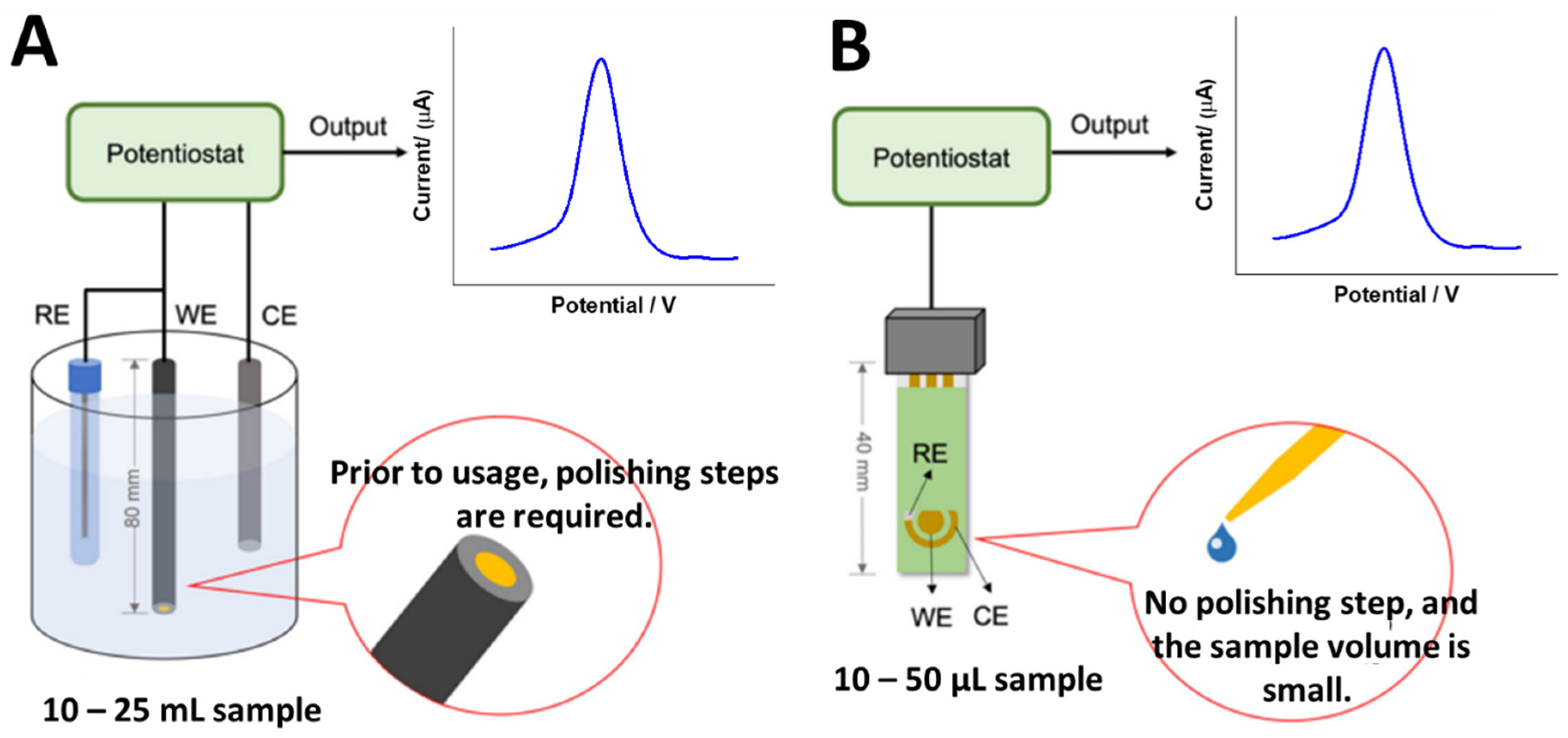 Biosensors 13 00294 g005