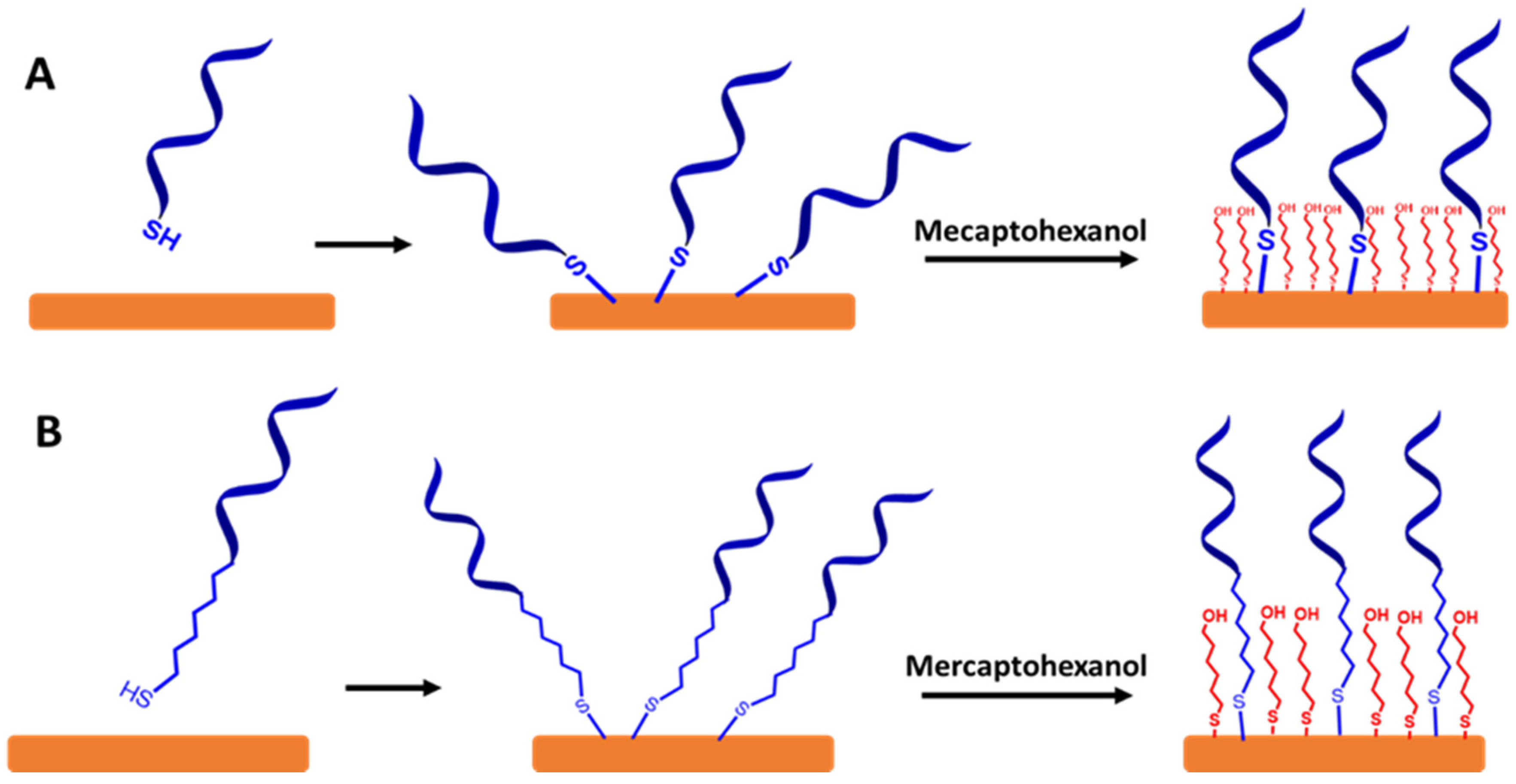 Biosensors 13 00294 g007
