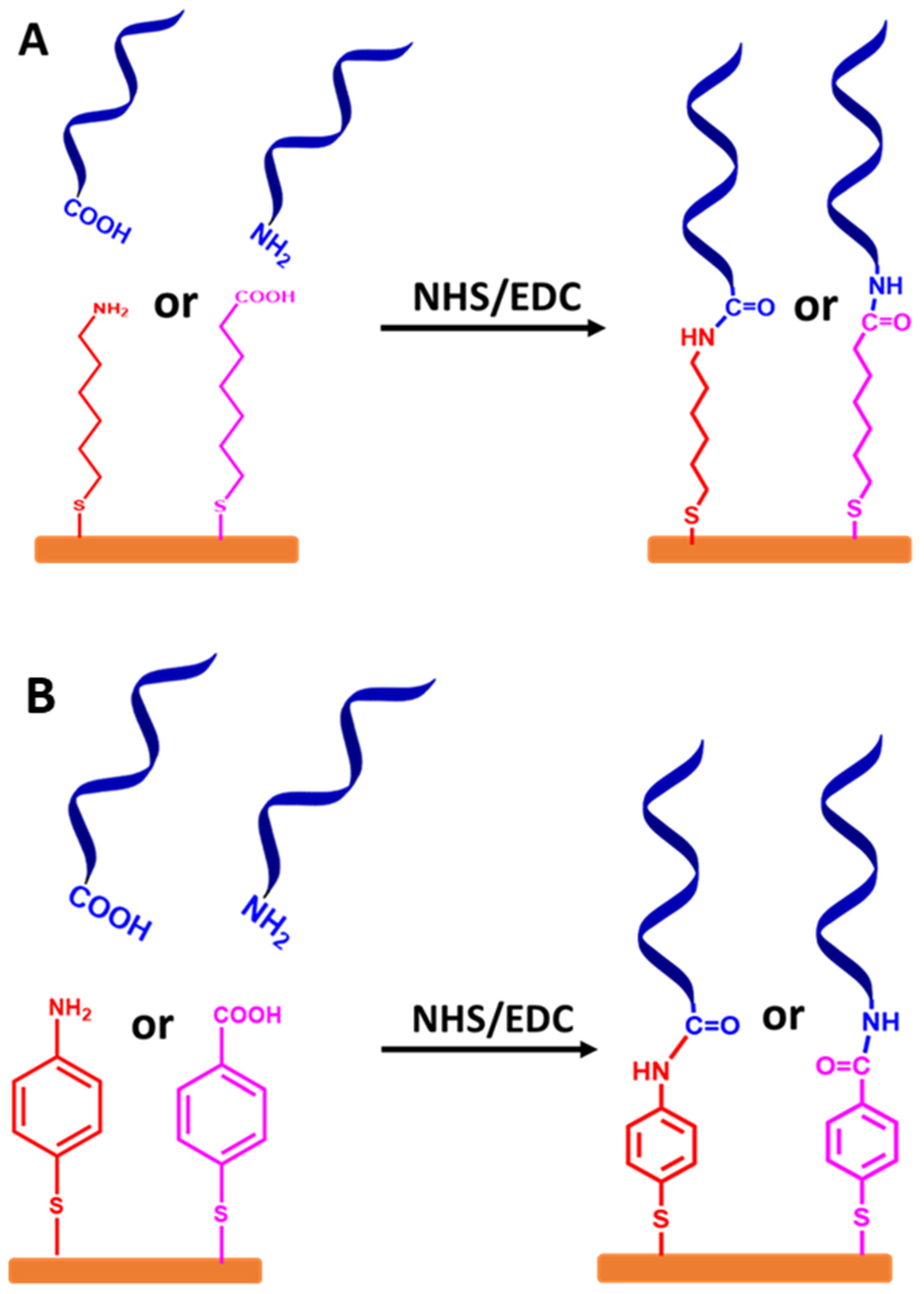 Biosensors 13 00294 g008