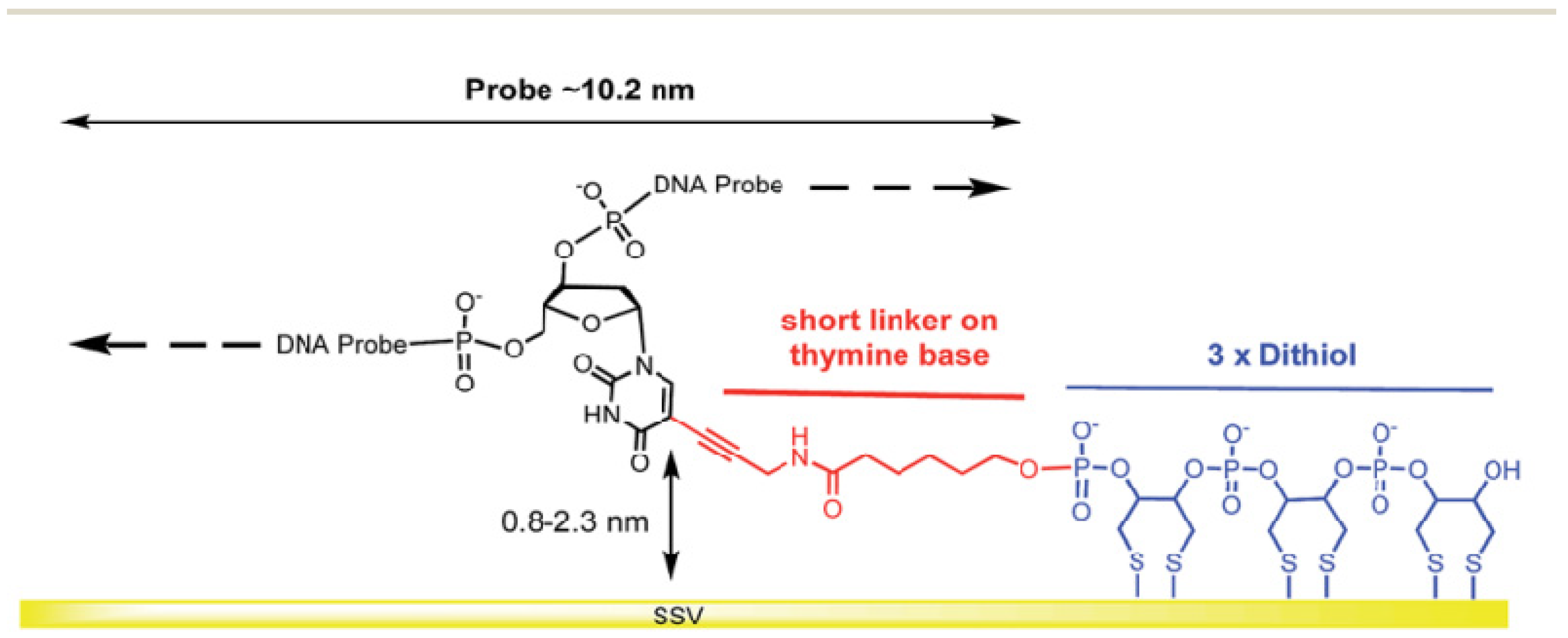 Biosensors 13 00294 g010