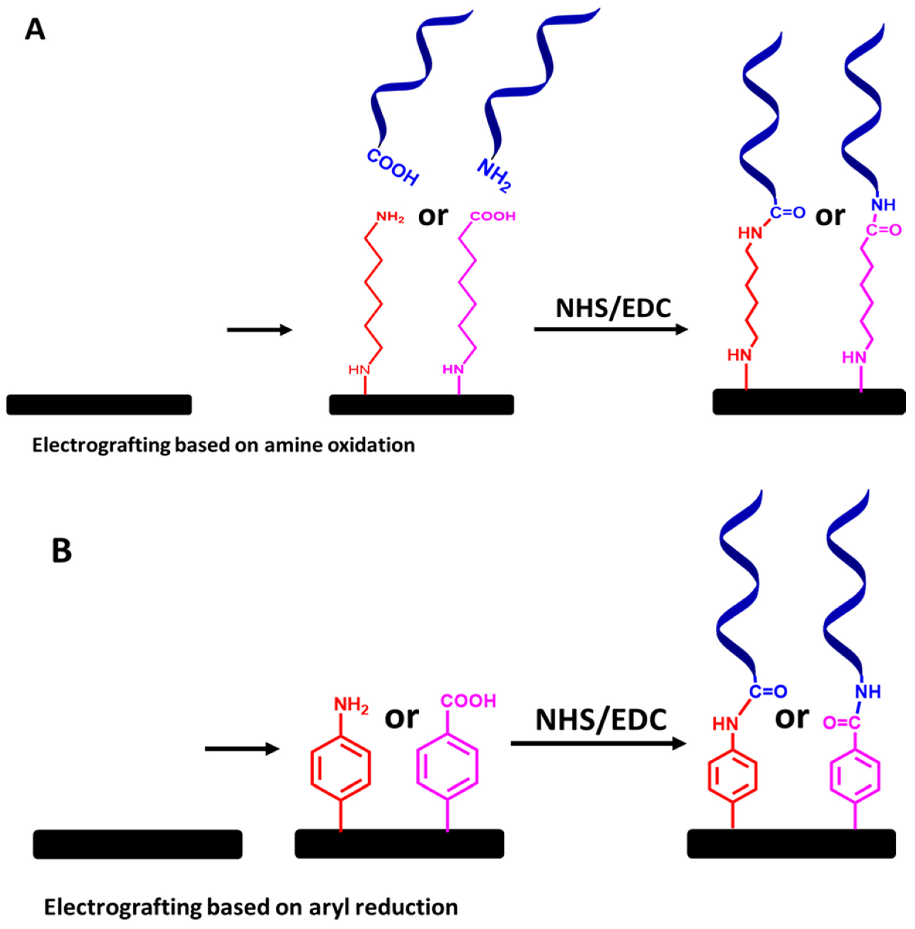Biosensors 13 00294 g012