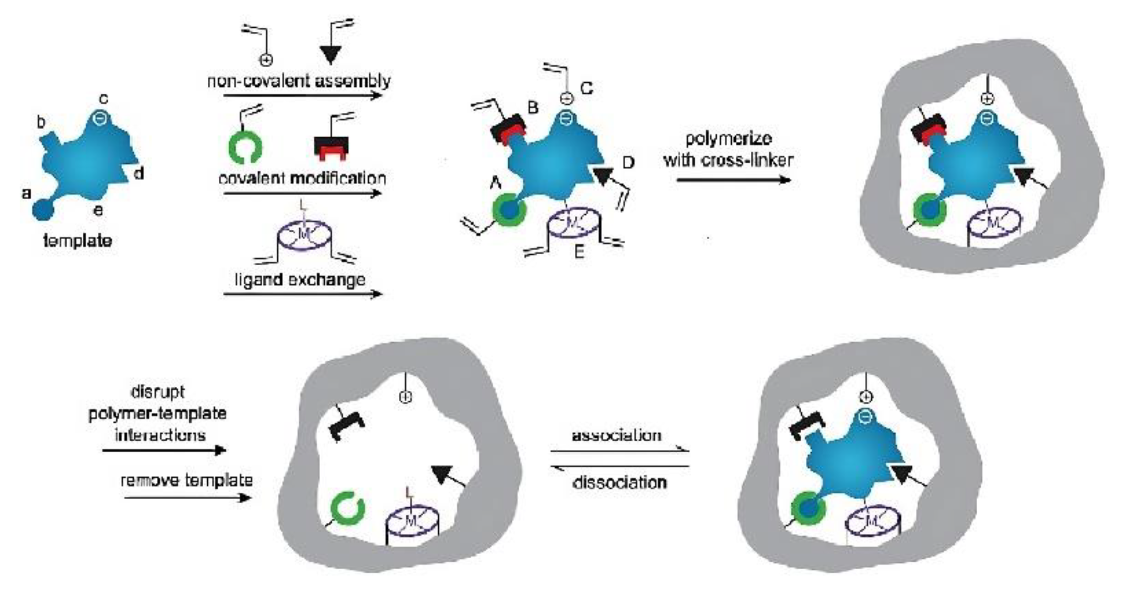 Biosensors 13 00295 g002 Biosensors 13 00295 g002