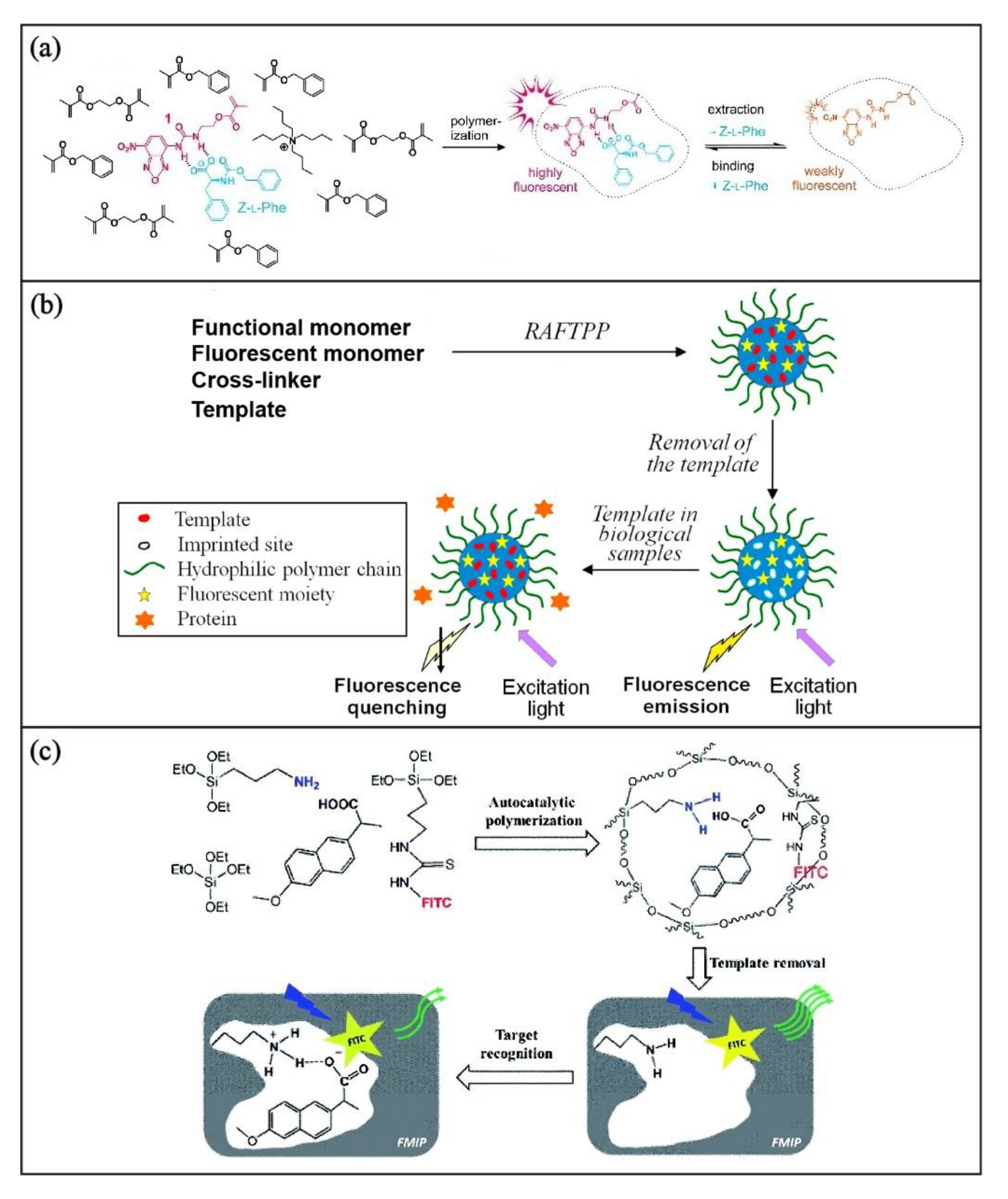 Biosensors 13 00295 g003 Biosensors 13 00295 g003