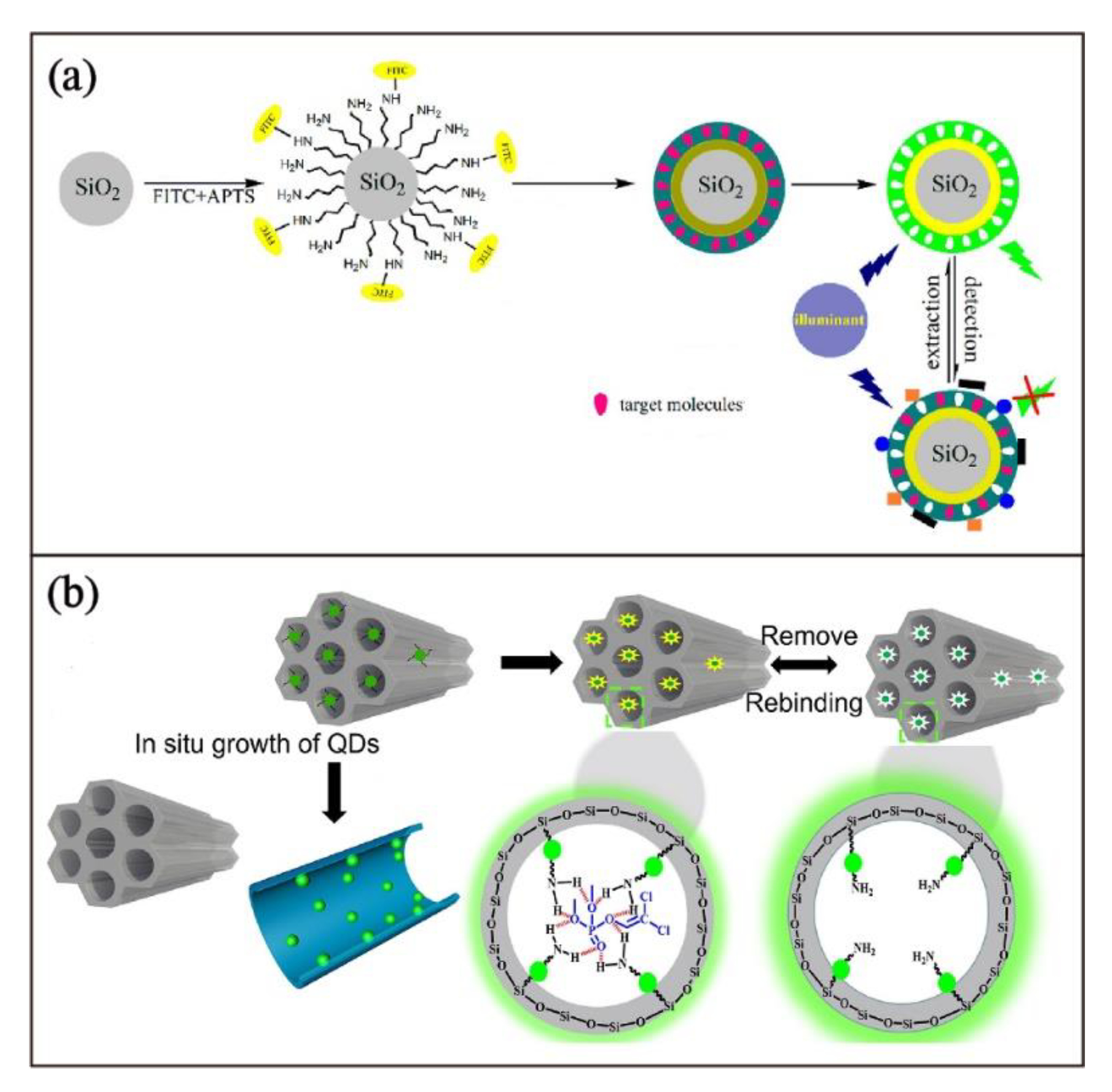 Biosensors 13 00295 g006 Biosensors 13 00295 g006