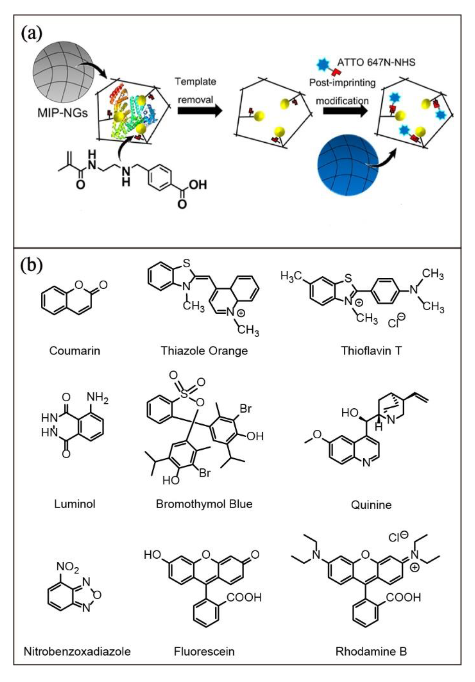 Biosensors 13 00295 g008 Biosensors 13 00295 g008
