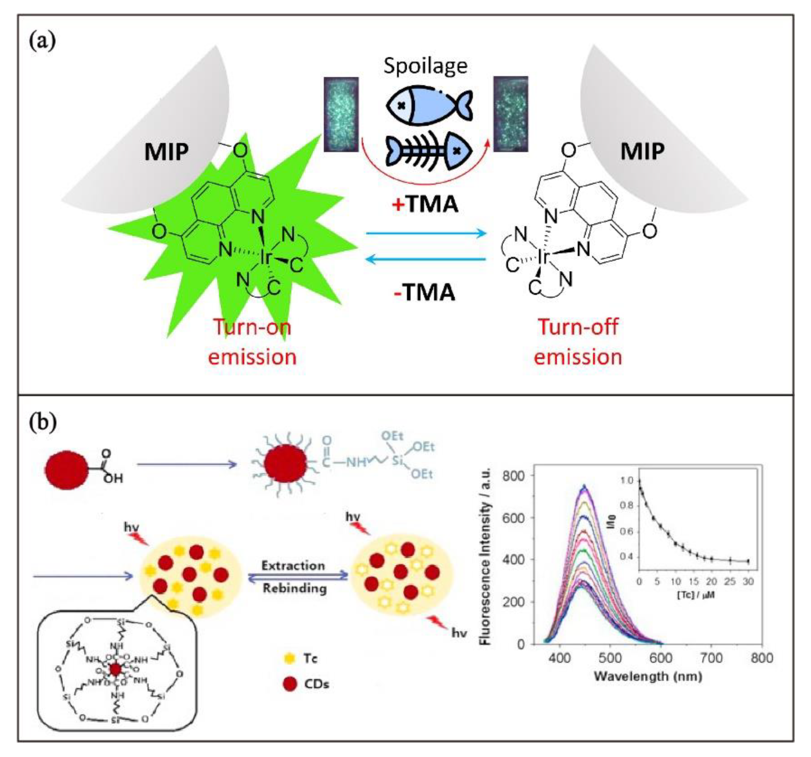 Biosensors 13 00295 g012 Biosensors 13 00295 g012