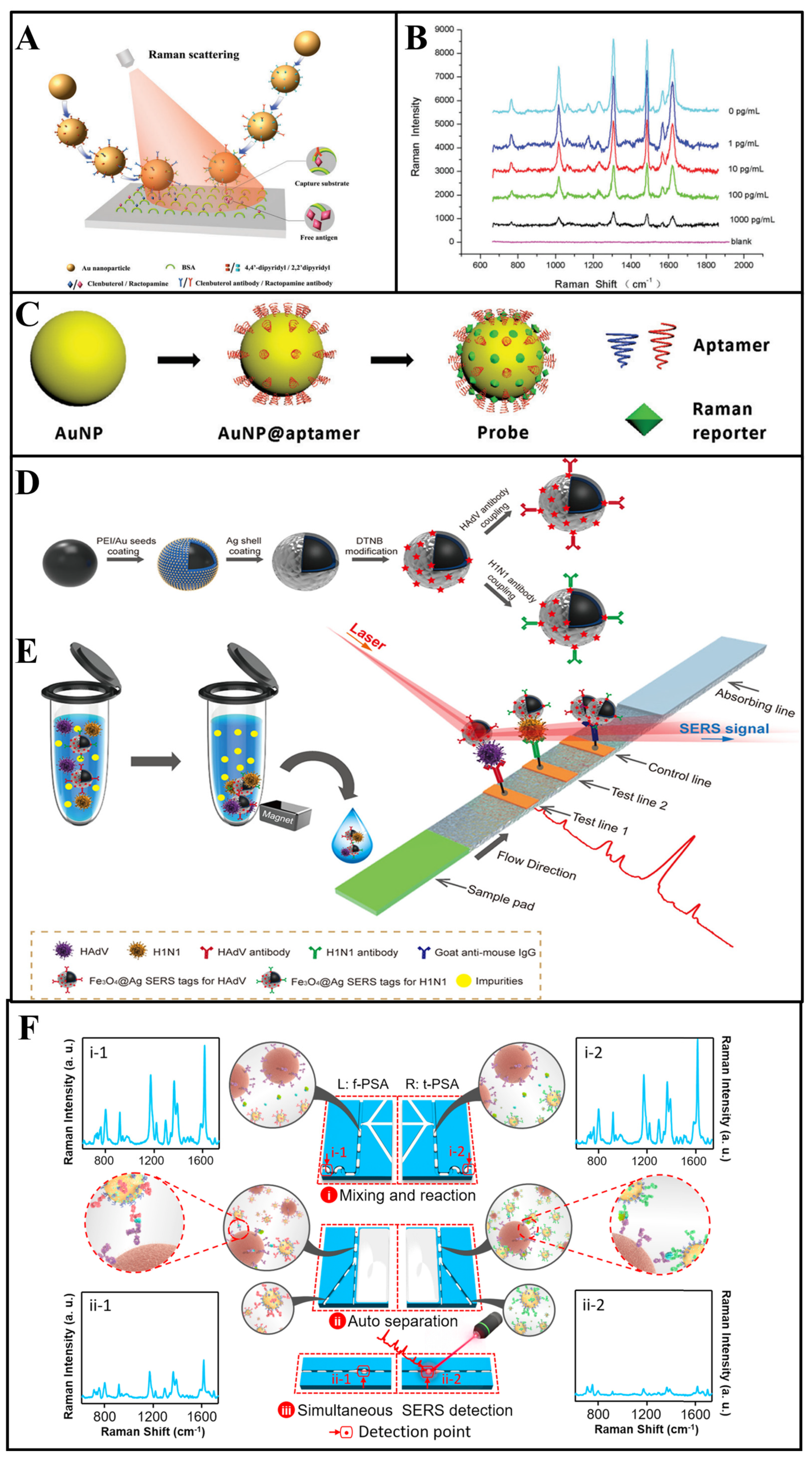 Biosensors 13 00296 g003 Biosensors 13 00296 g003