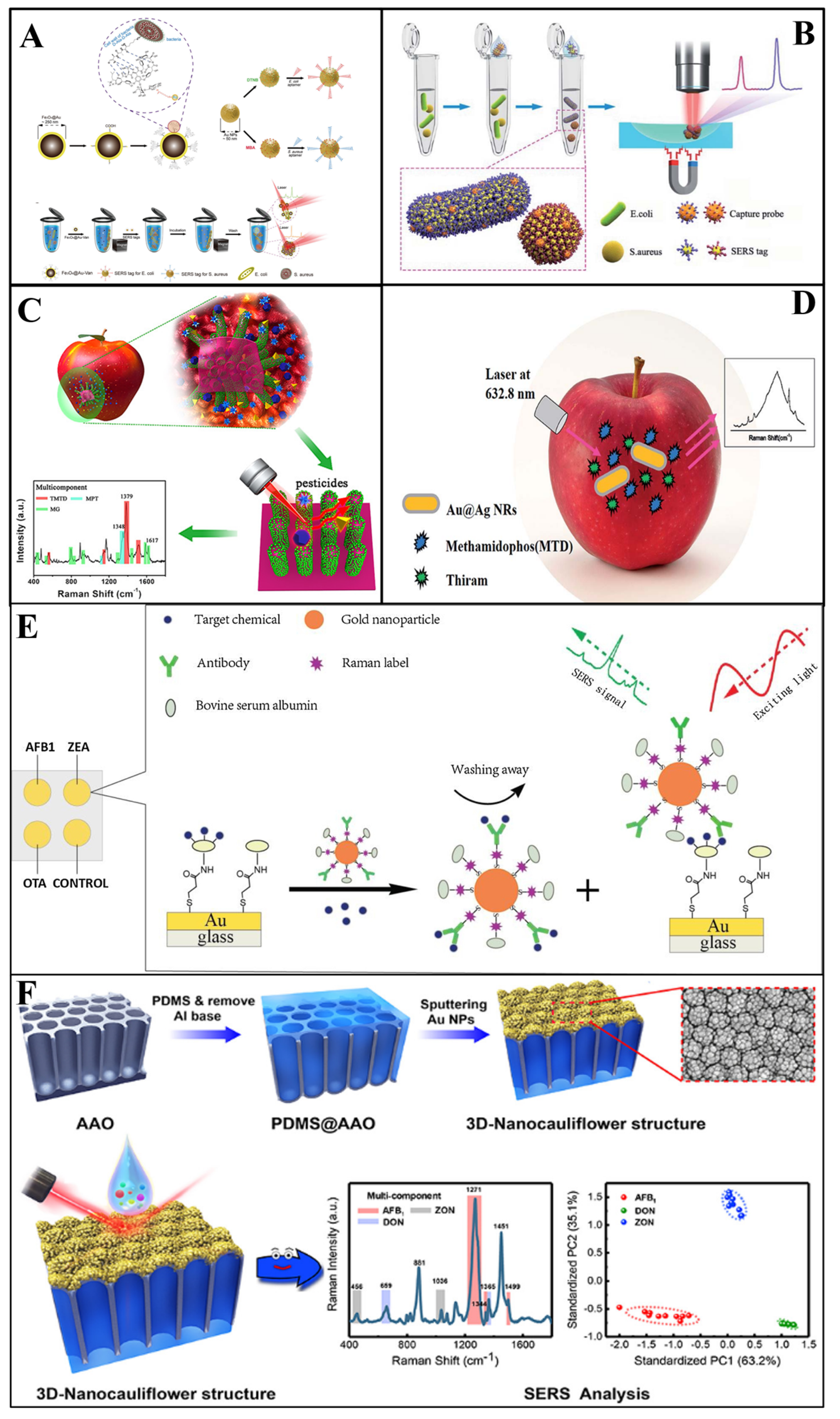 Biosensors 13 00296 g004 Biosensors 13 00296 g004
