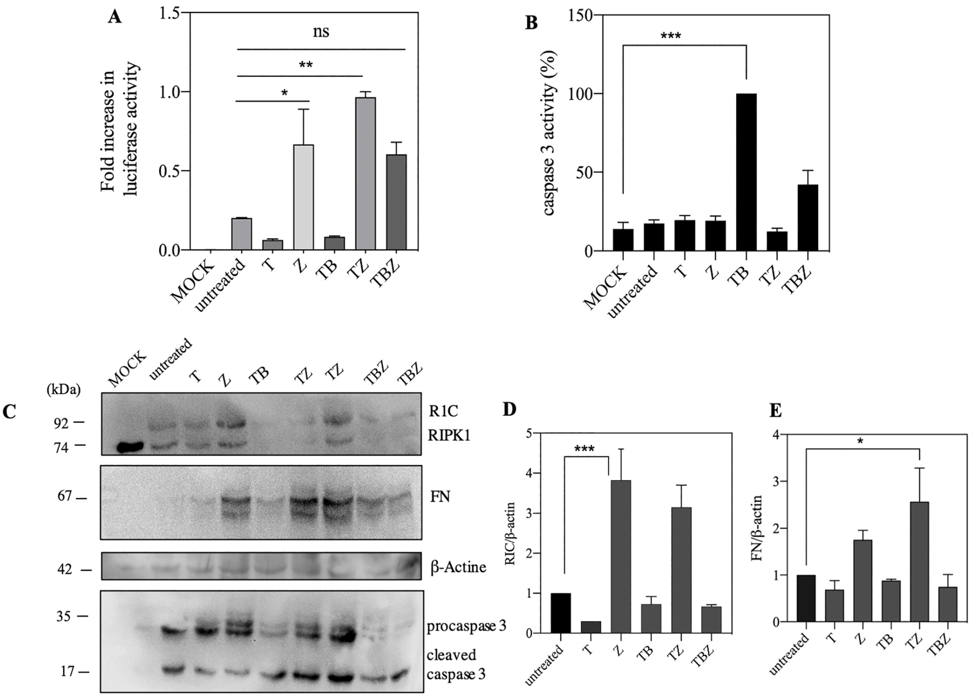 Biosensors 13 00297 g002