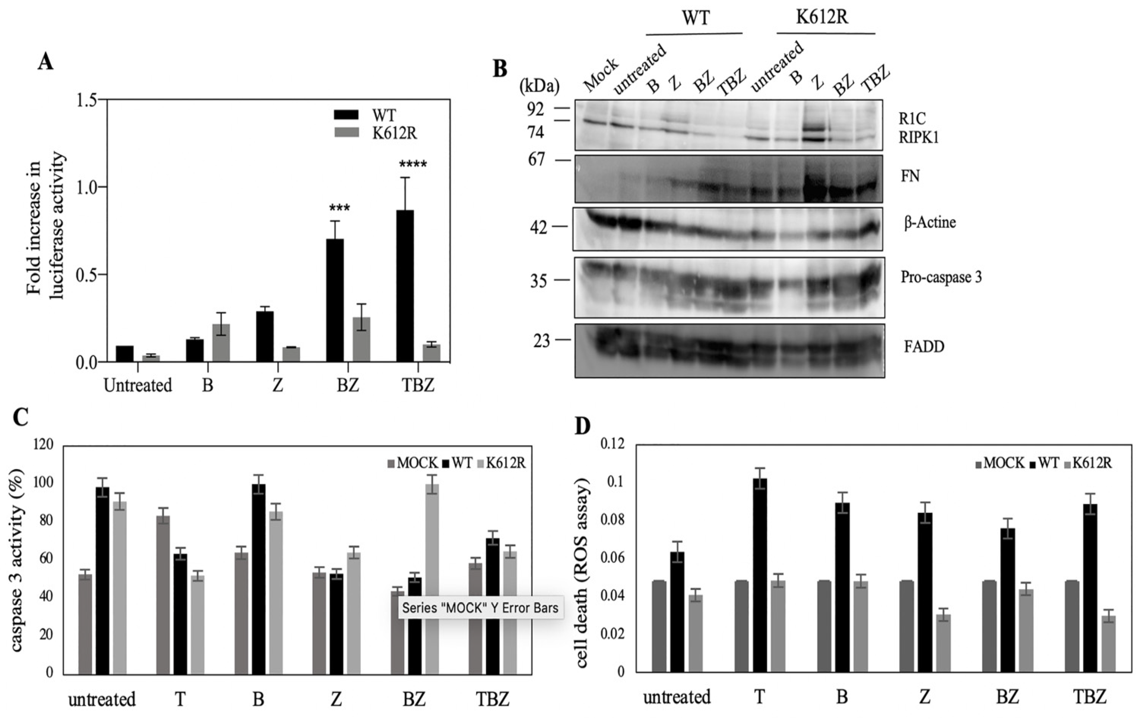 Biosensors 13 00297 g003