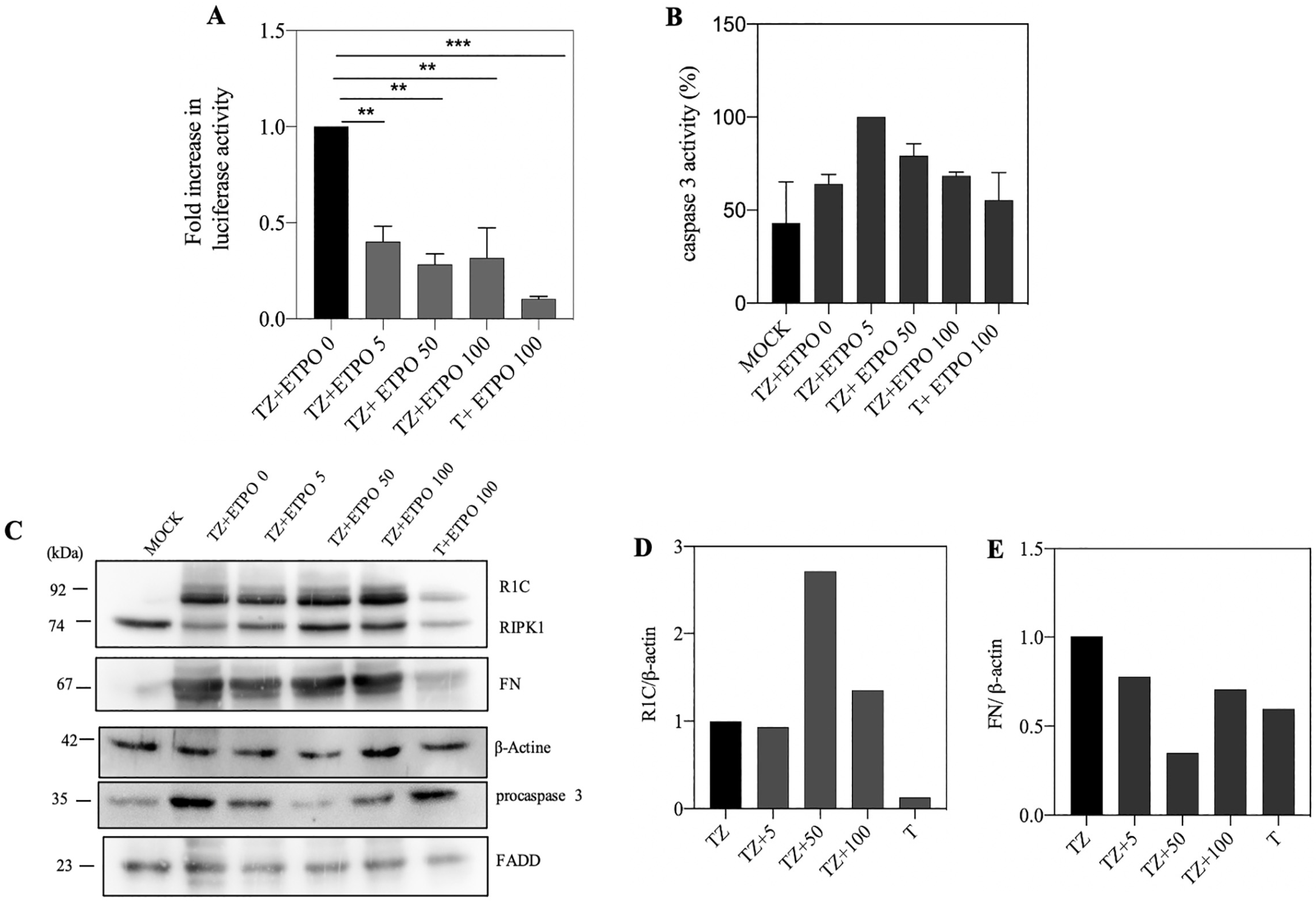 Biosensors 13 00297 g004