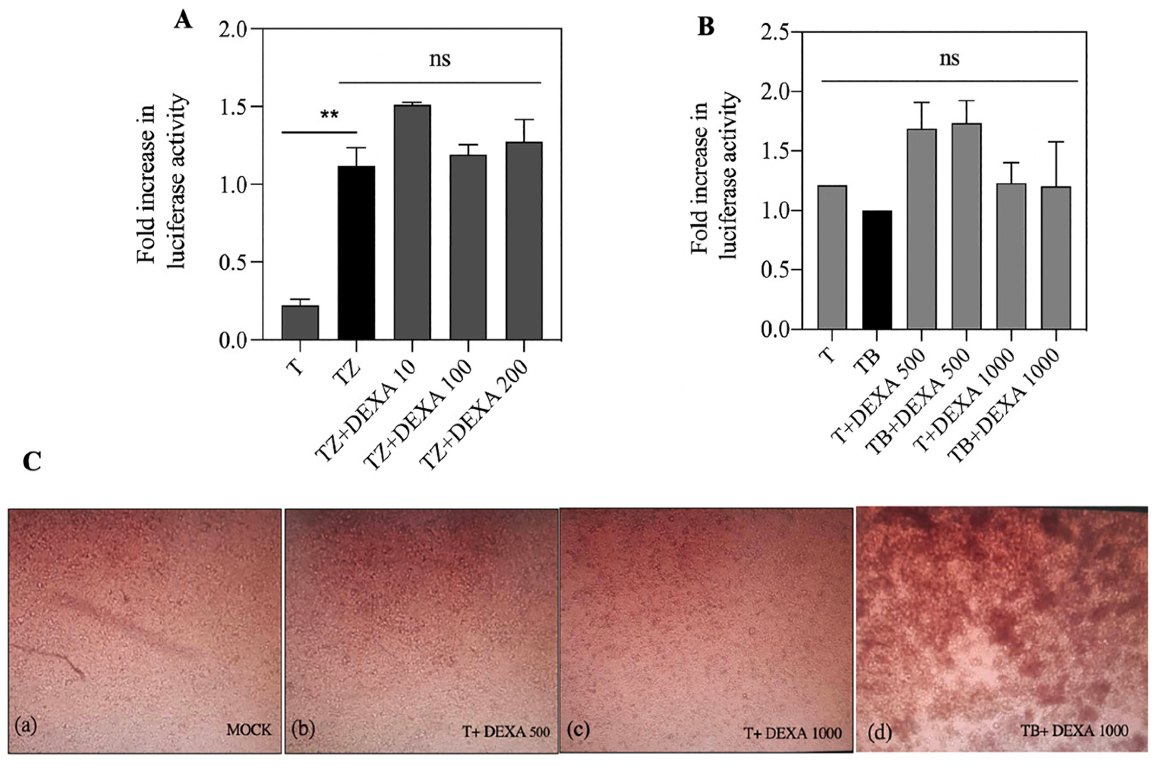 Biosensors 13 00297 g006