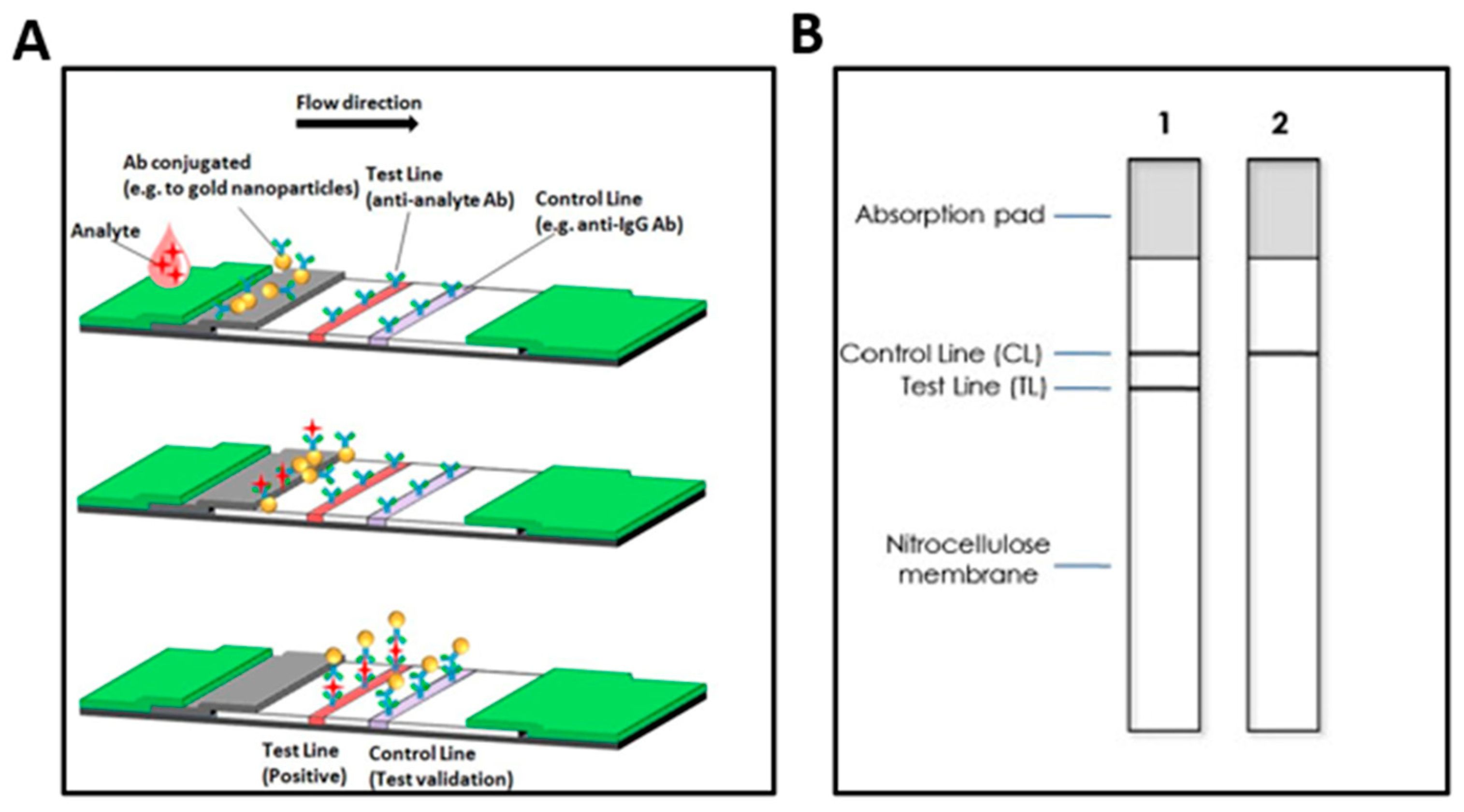 Biosensors 13 00298 g002