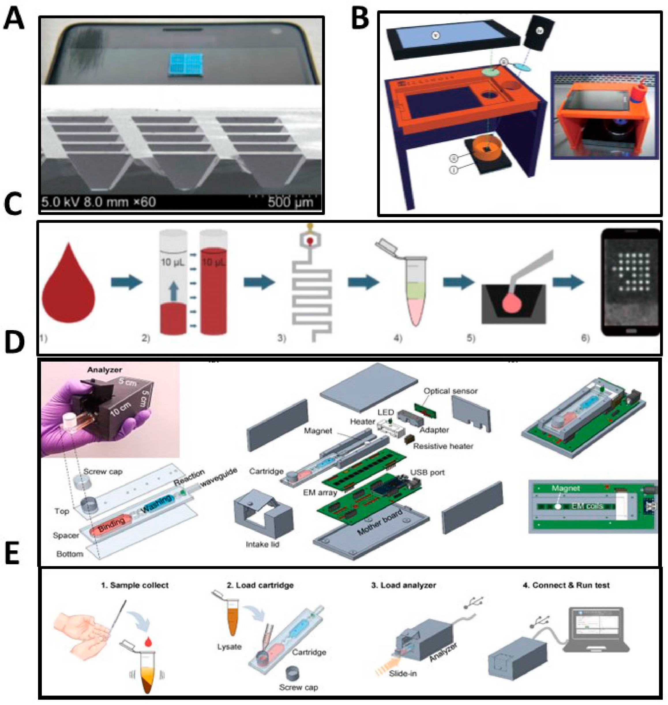 Biosensors 13 00298 g006