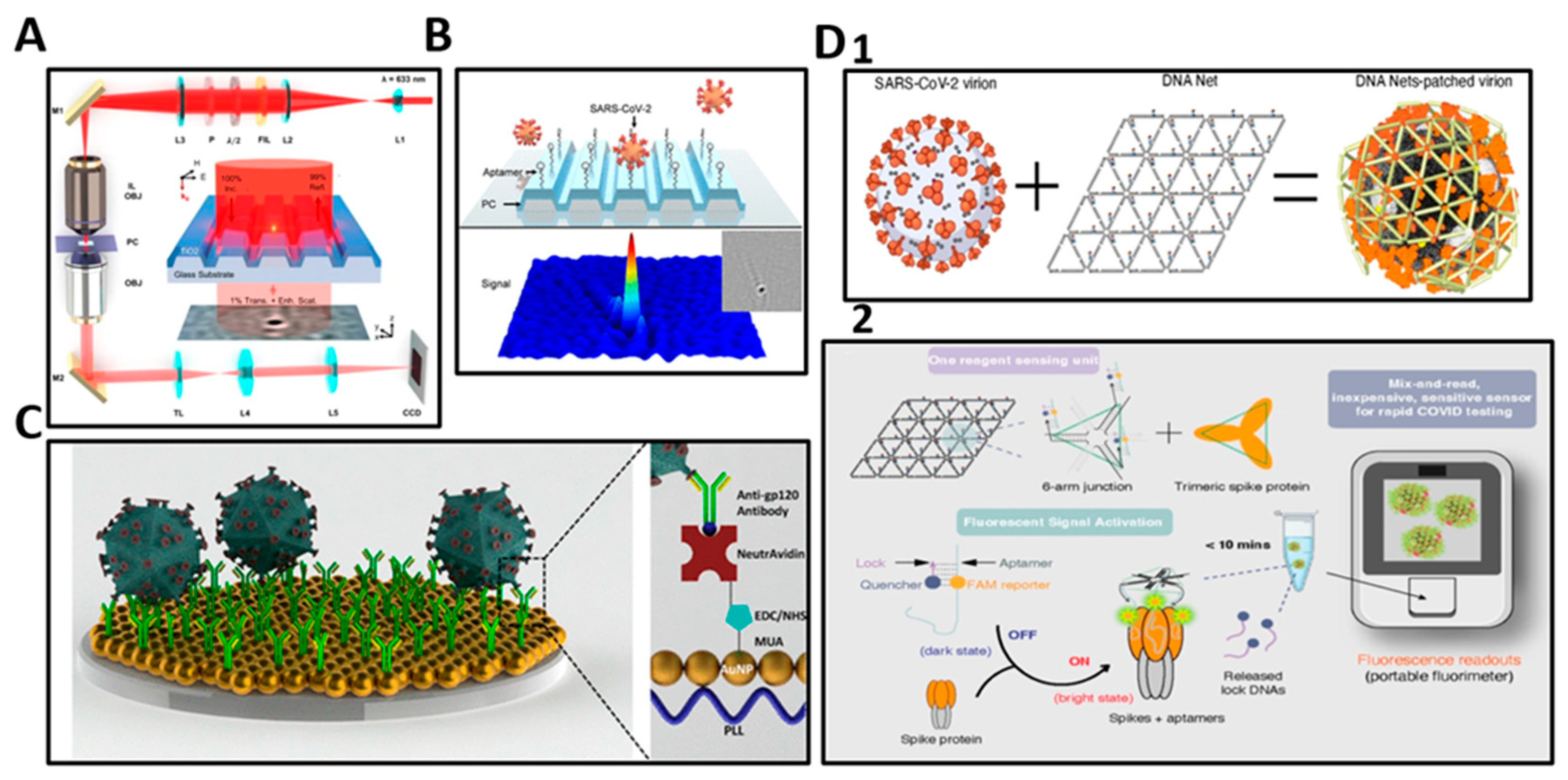 Biosensors 13 00298 g007