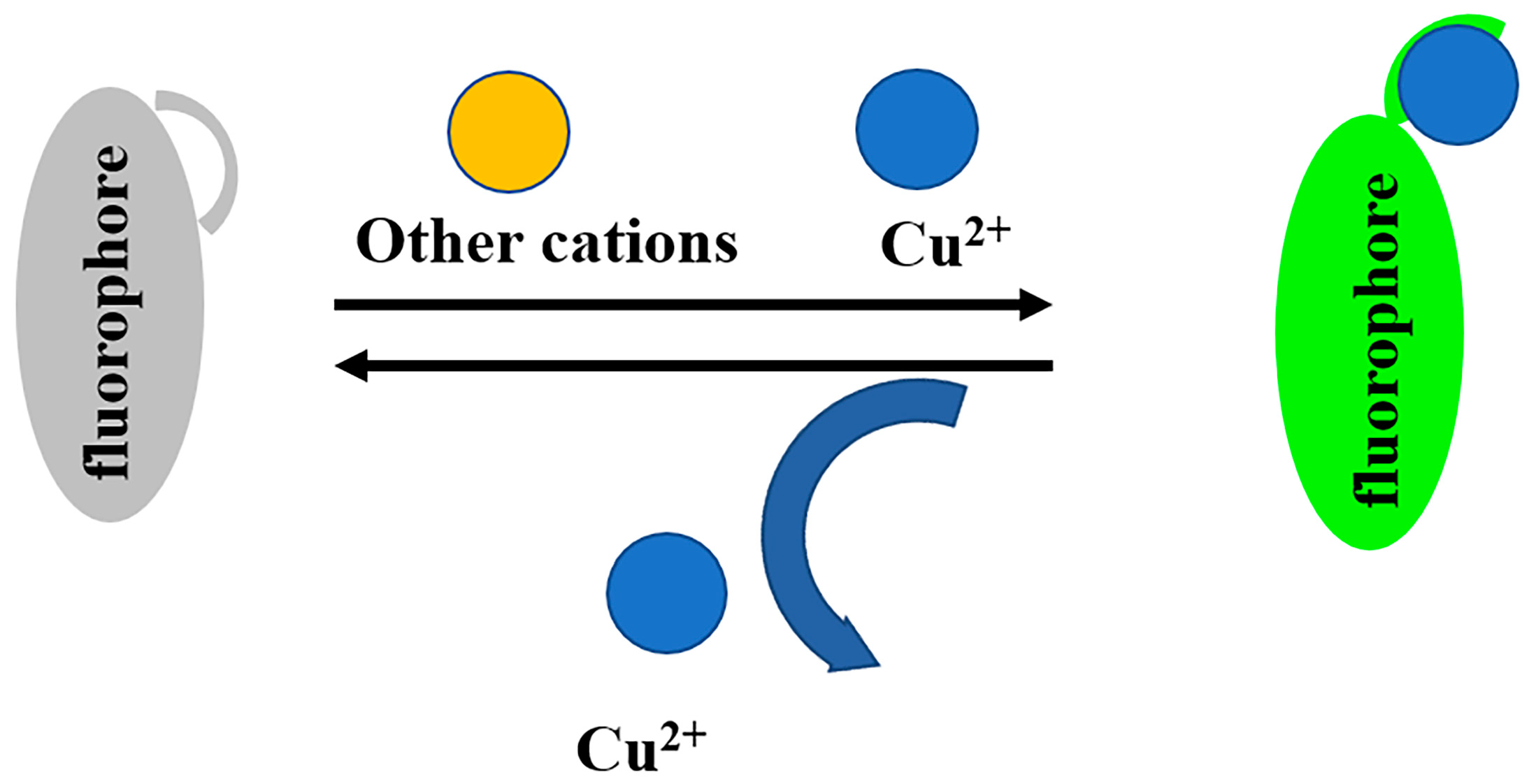 Biosensors 13 00301 g001