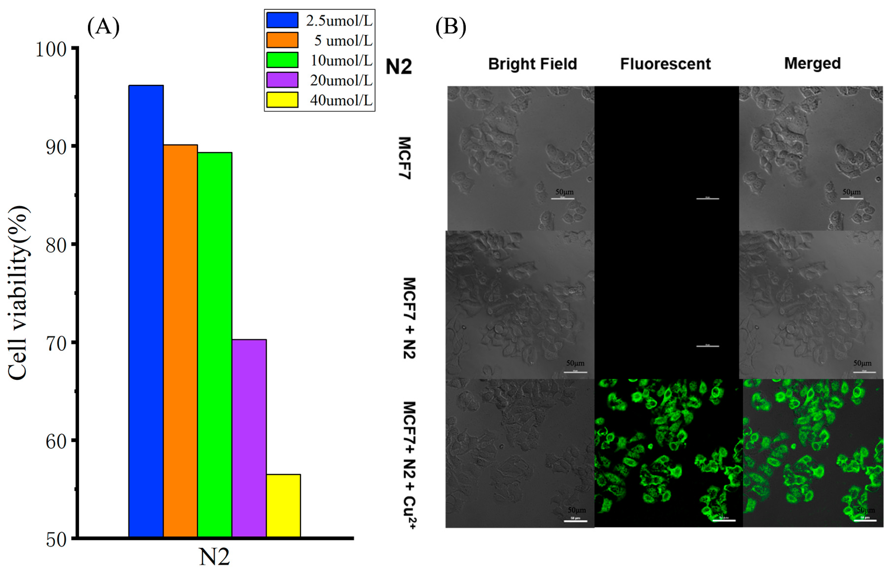 Biosensors 13 00301 g006