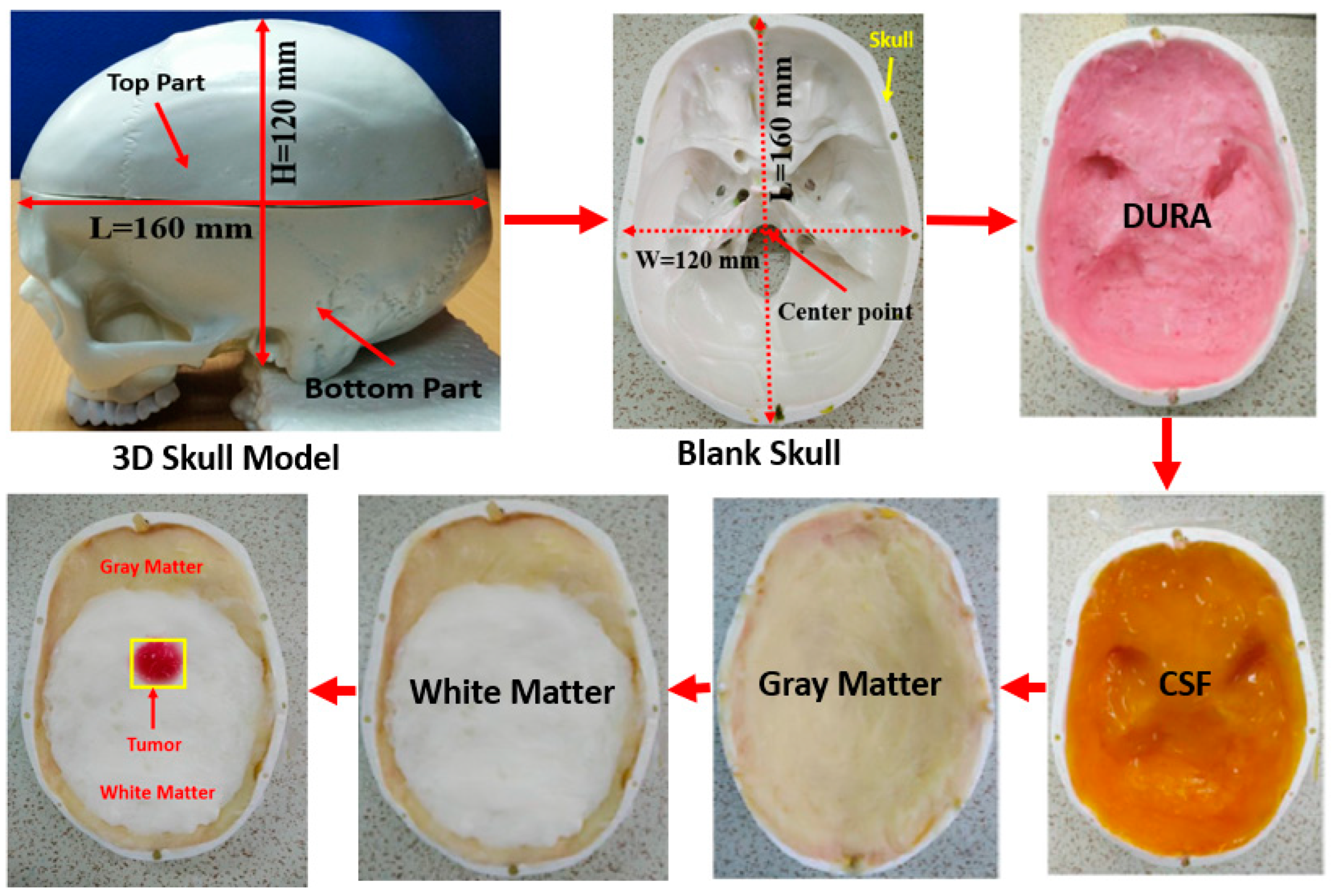 Biosensors 13 00302 g004