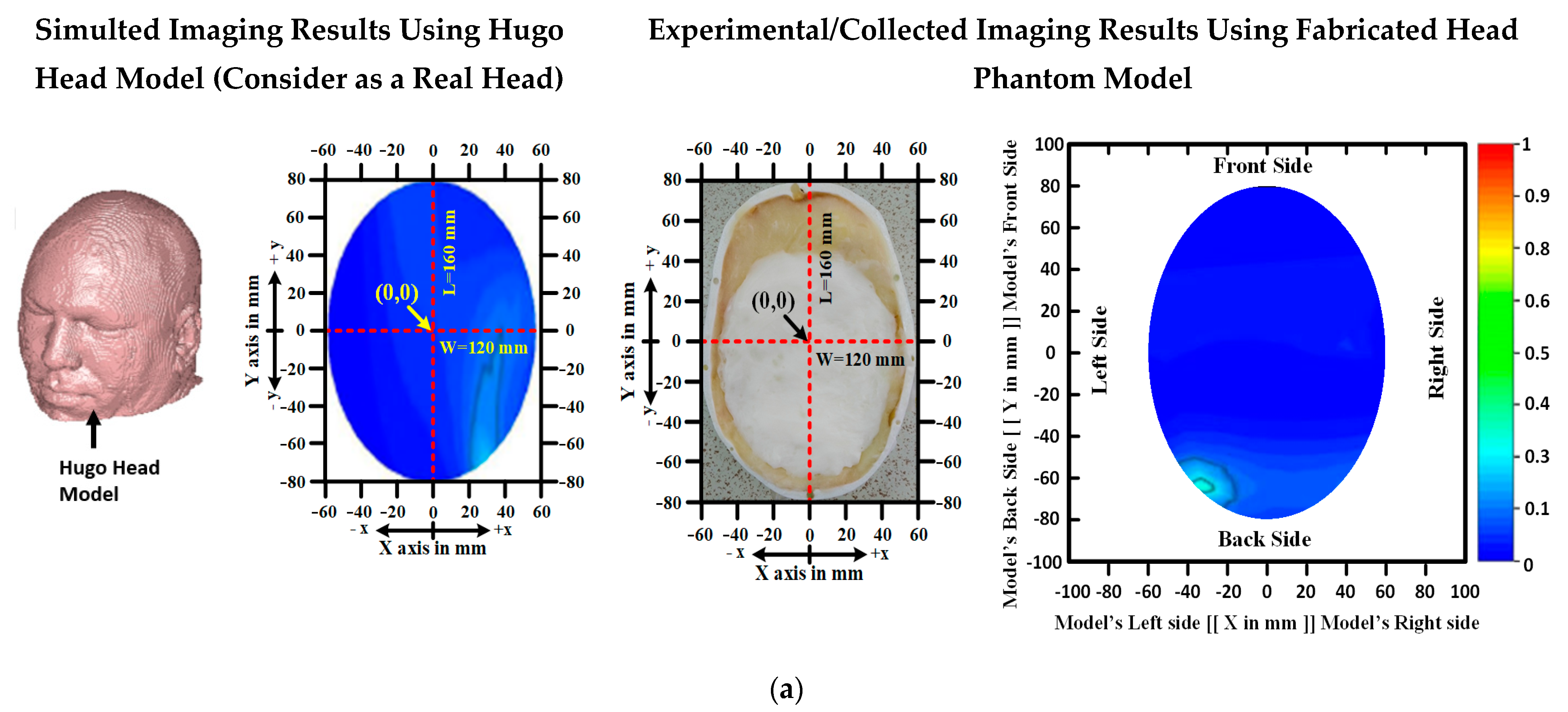 Biosensors 13 00302 g007a