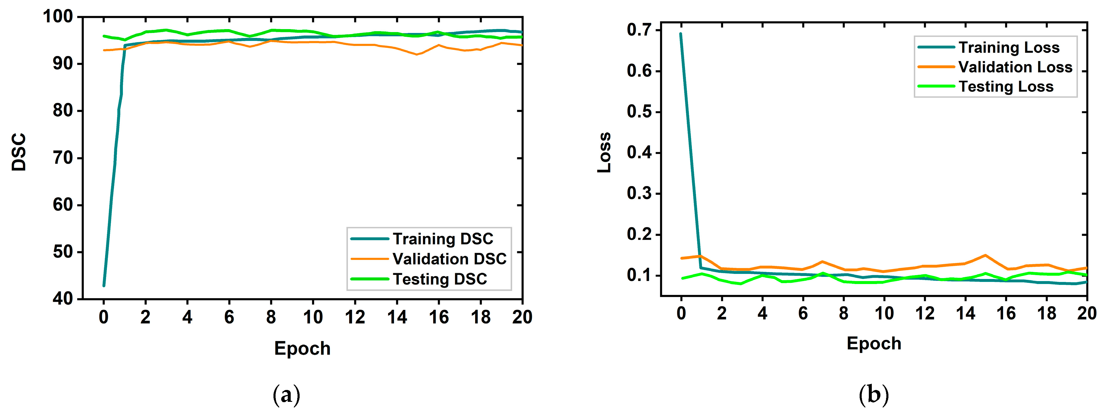 Biosensors 13 00302 g012