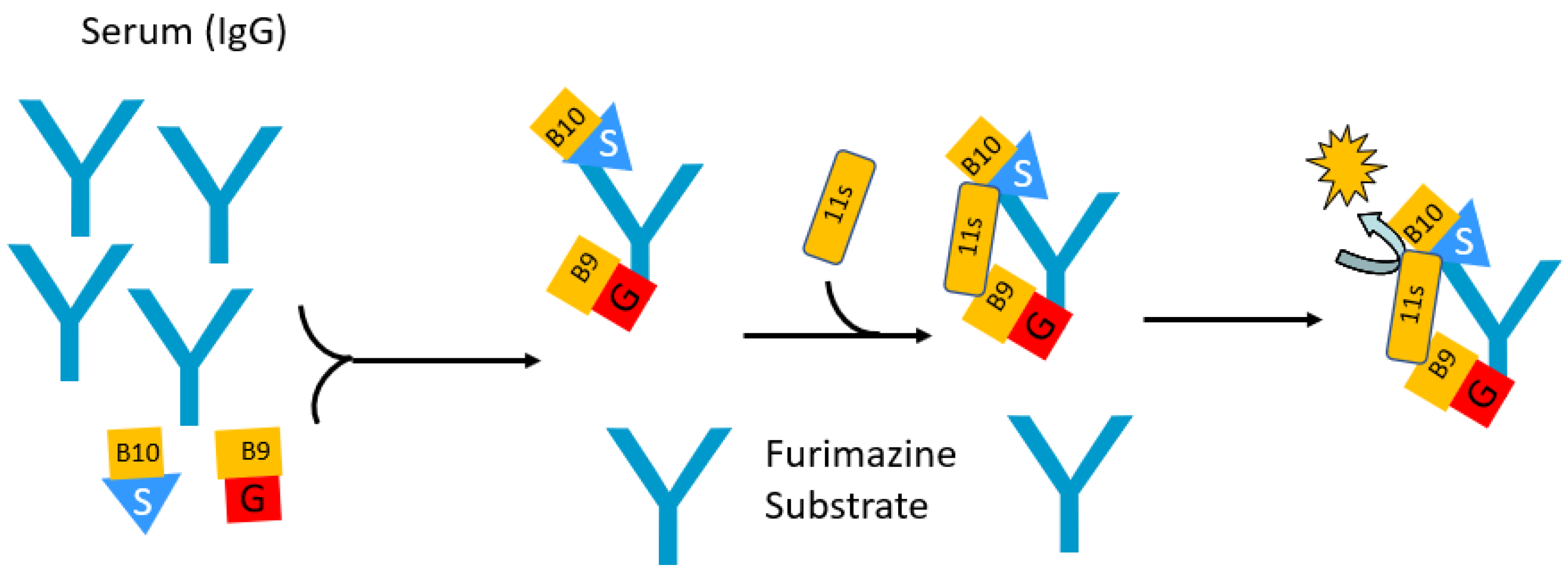 Biosensors 13 00303 g005