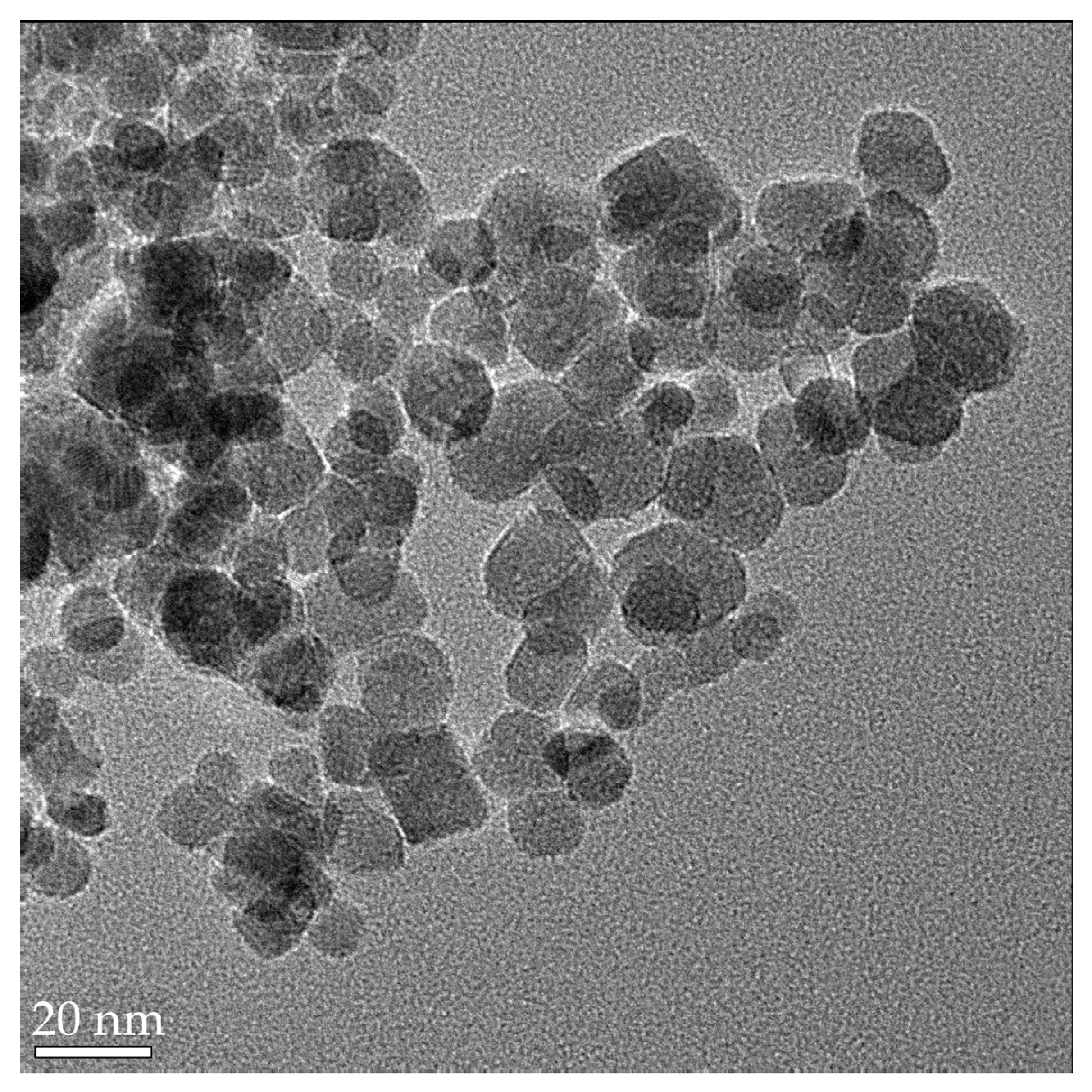 Biosensors 13 00304 g002