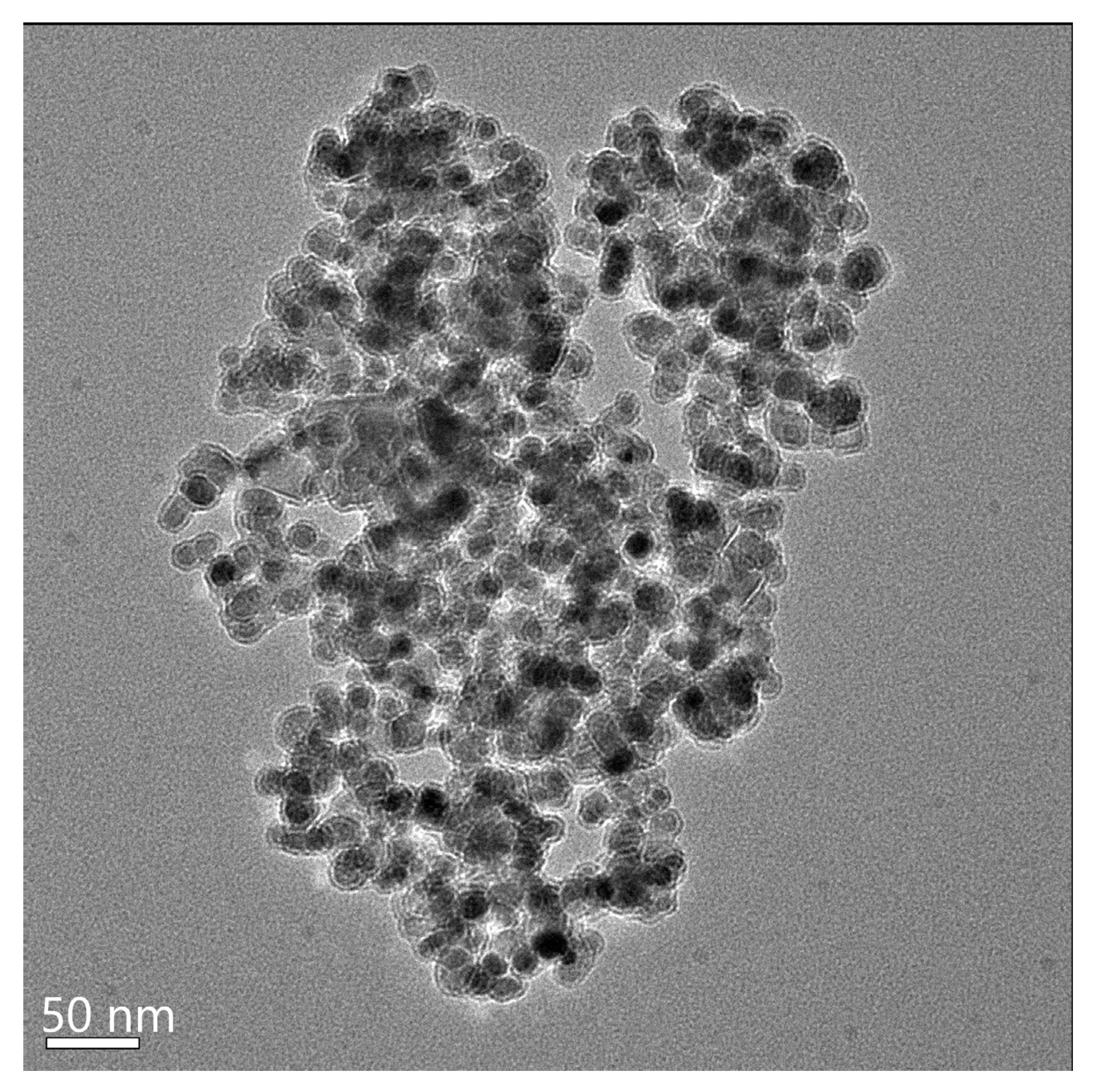 Biosensors 13 00304 g005