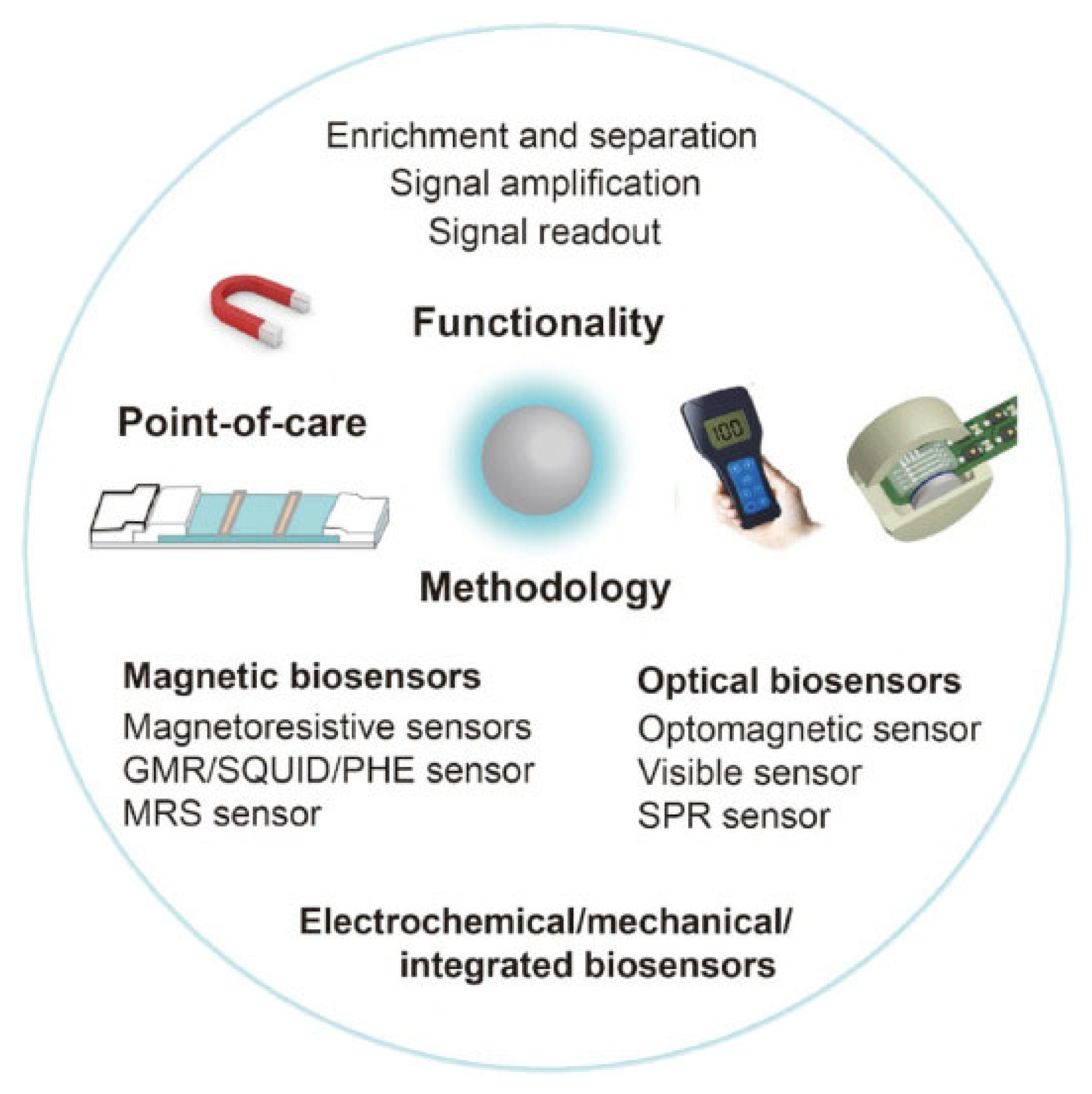 Biosensors 13 00304 g008