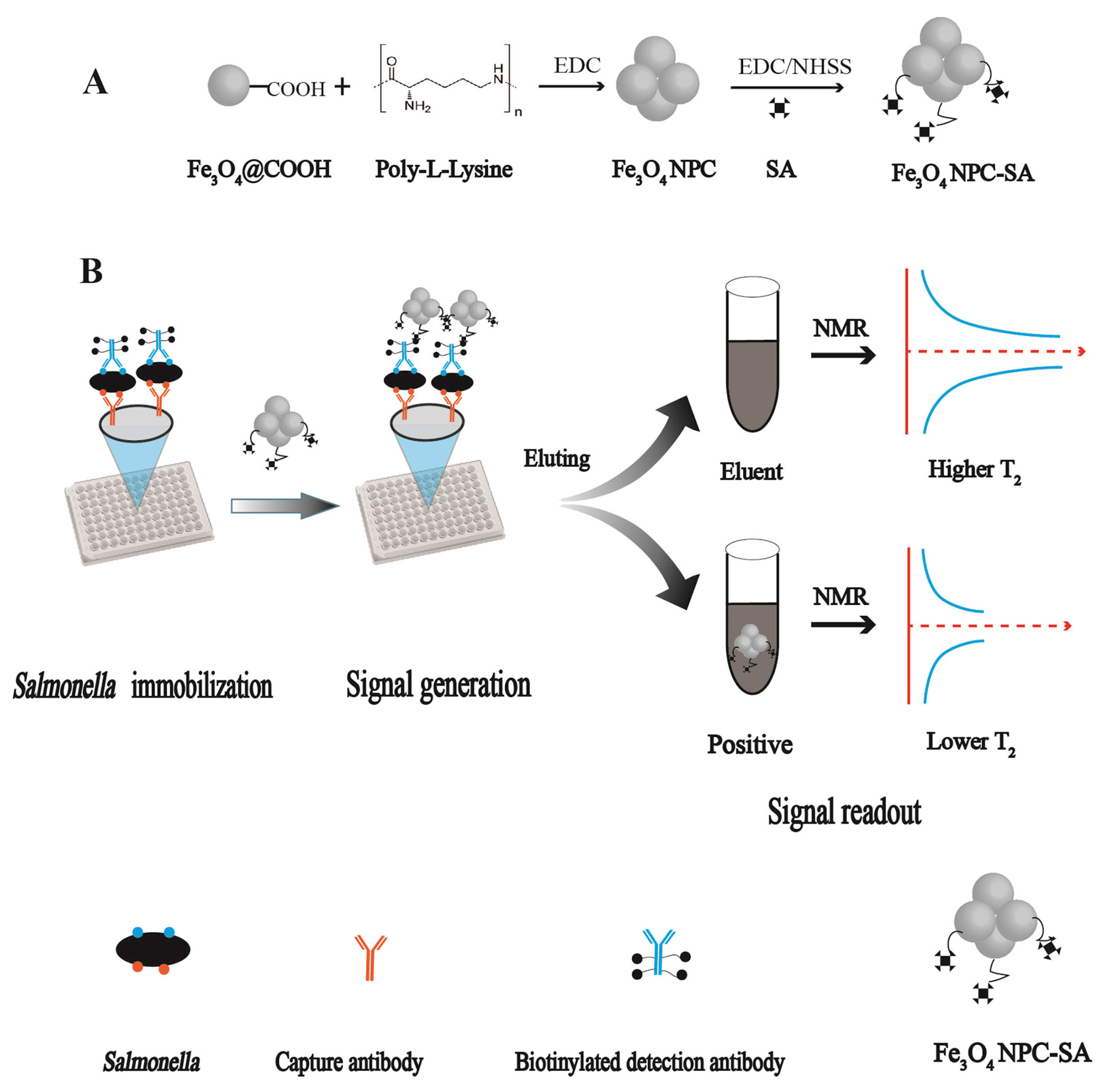 Biosensors 13 00304 g010