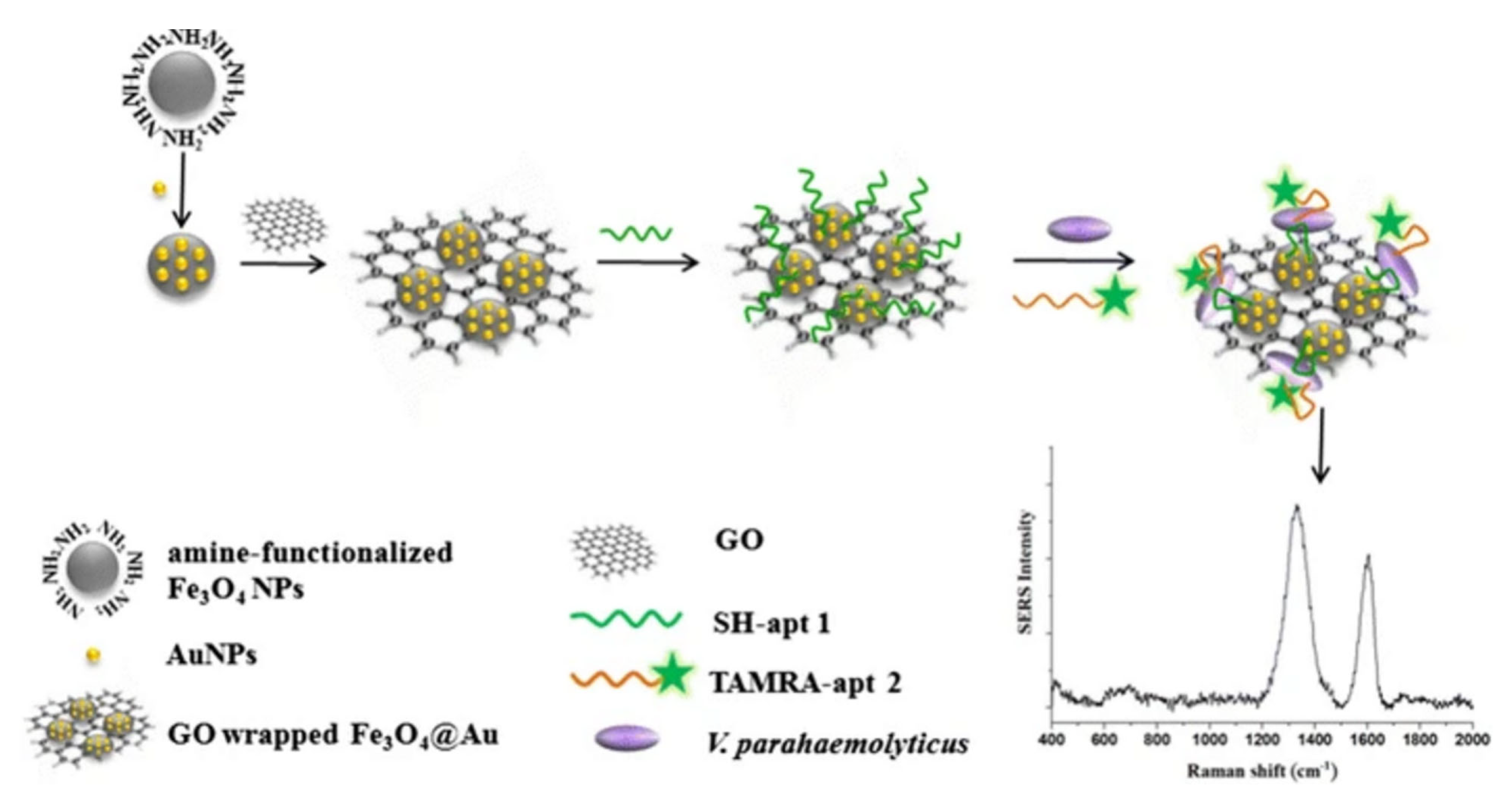 Biosensors 13 00304 g013