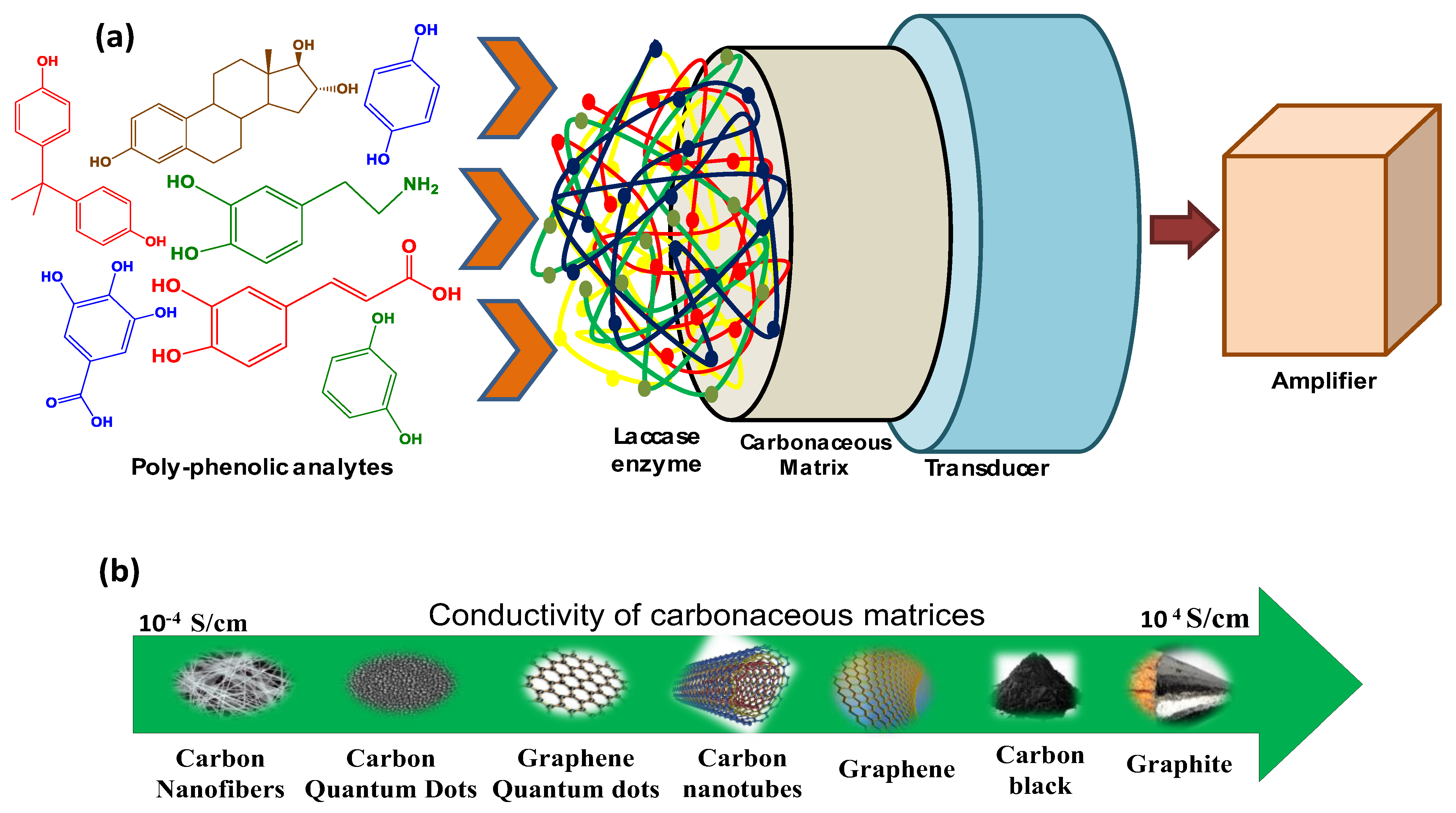 Biosensors 13 00305 g001