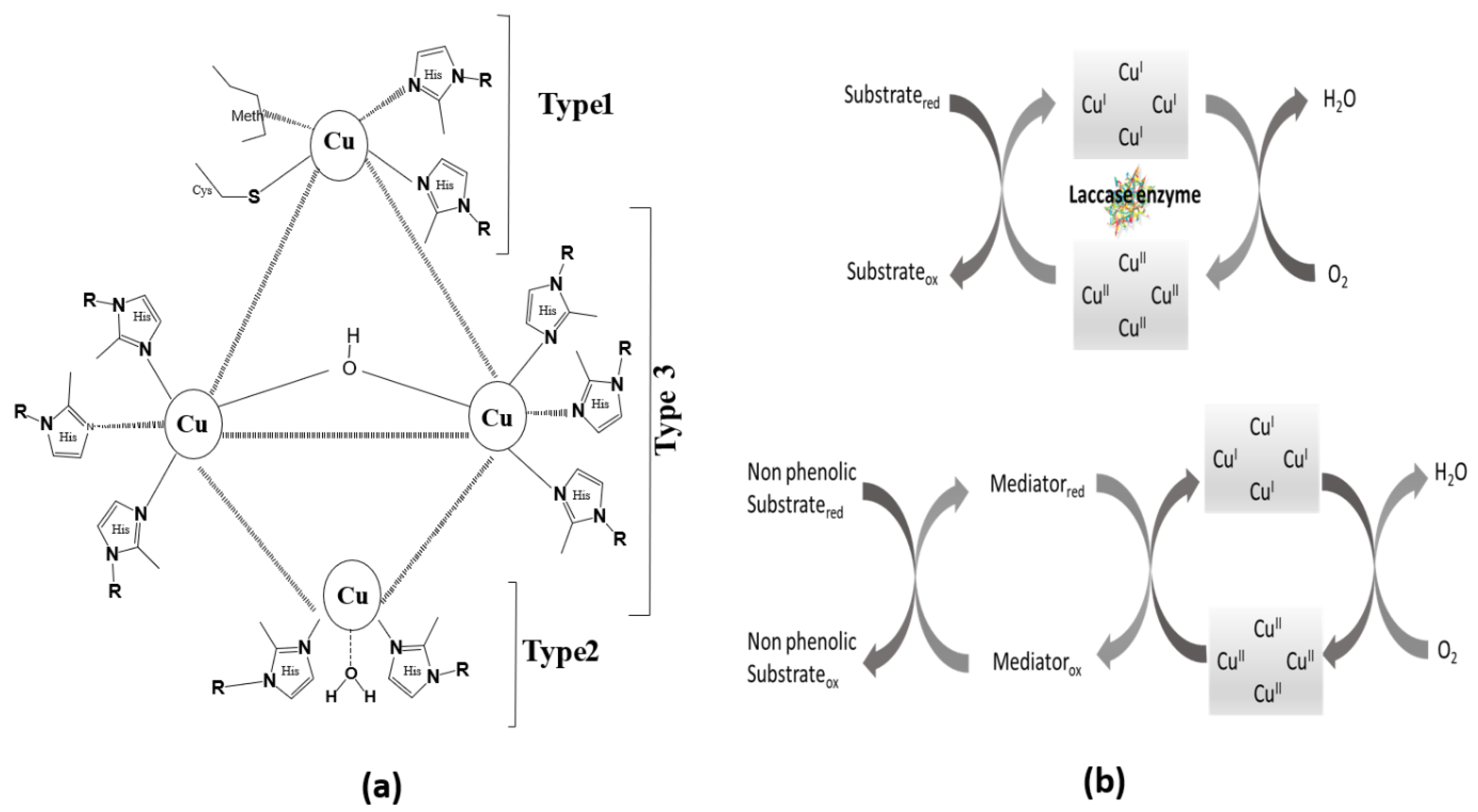 Biosensors 13 00305 g002