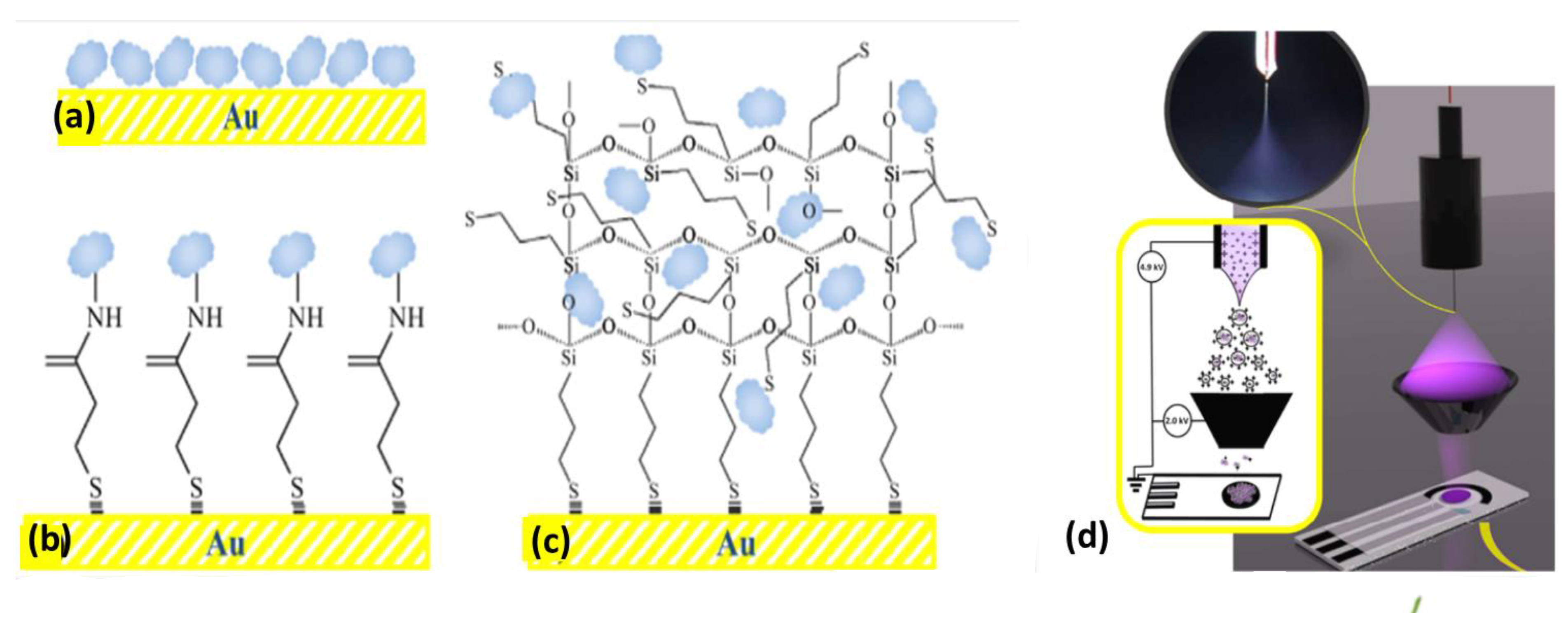 Biosensors 13 00305 g003