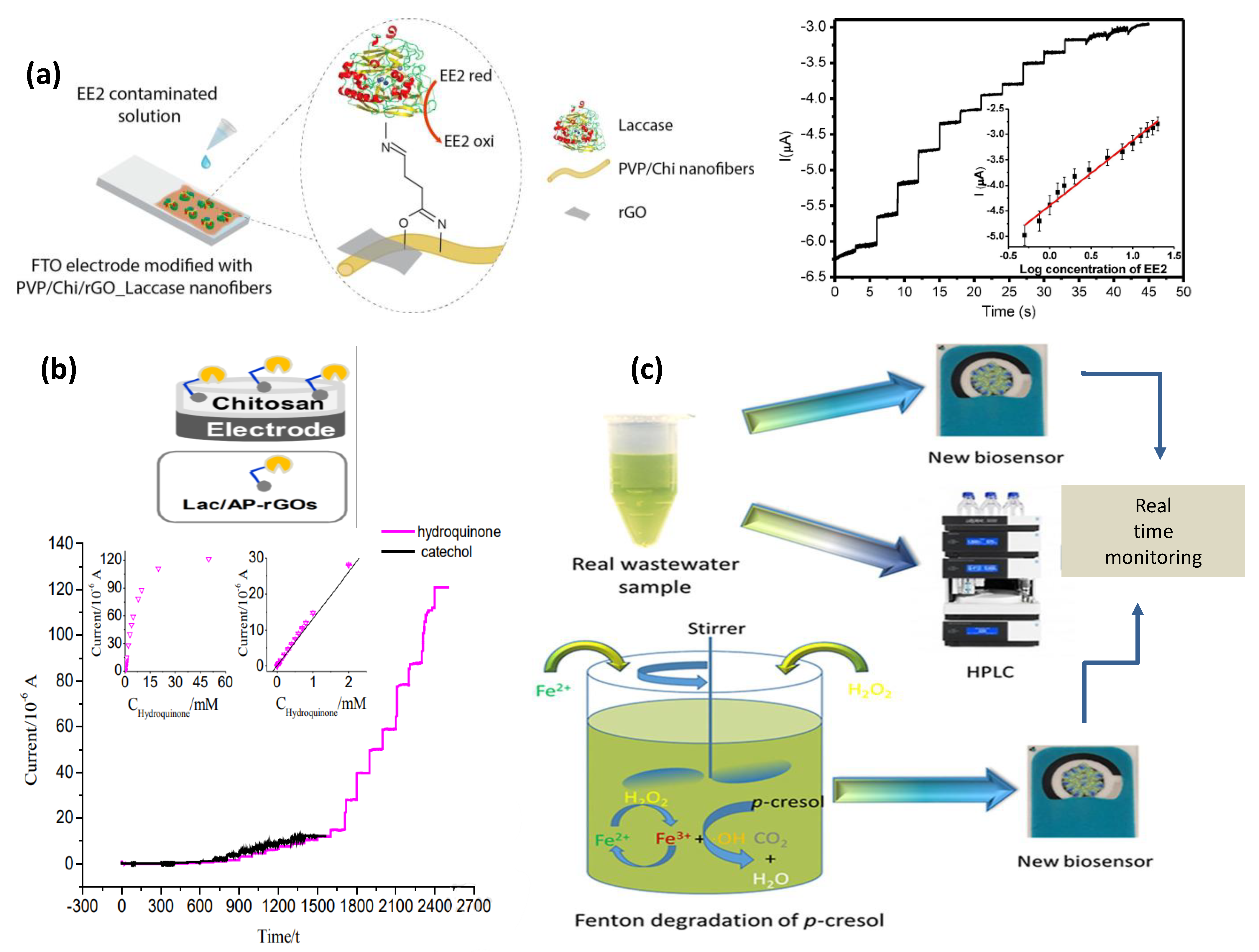 Biosensors 13 00305 g007