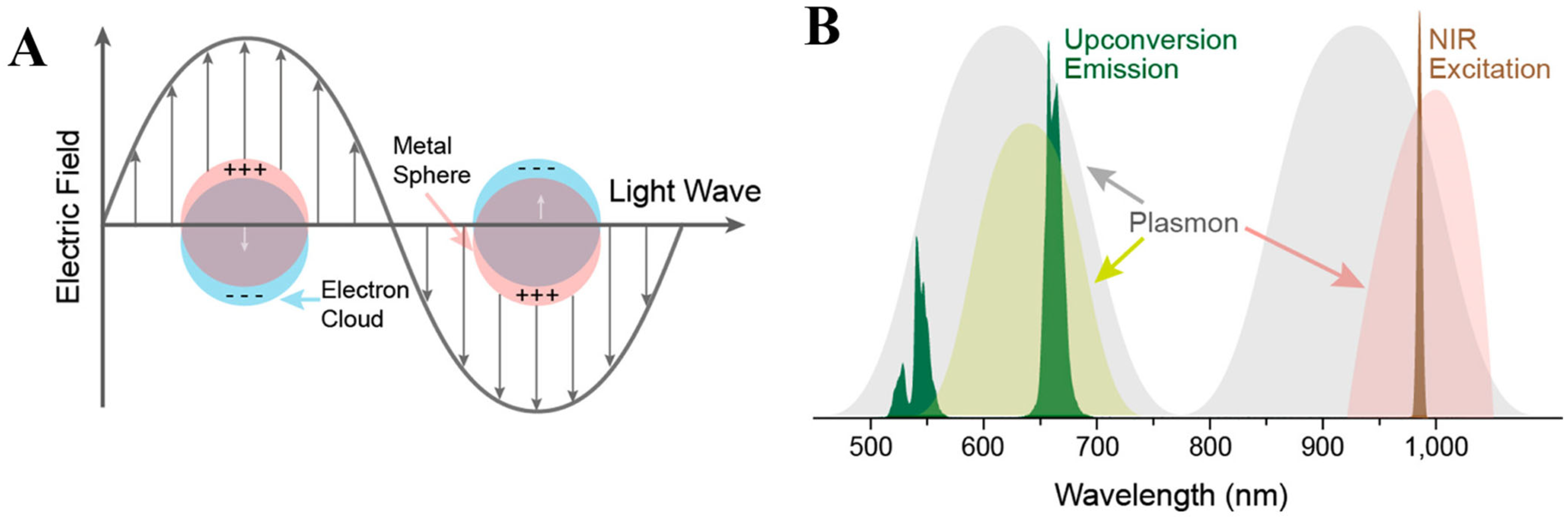 Biosensors 13 00306 g002