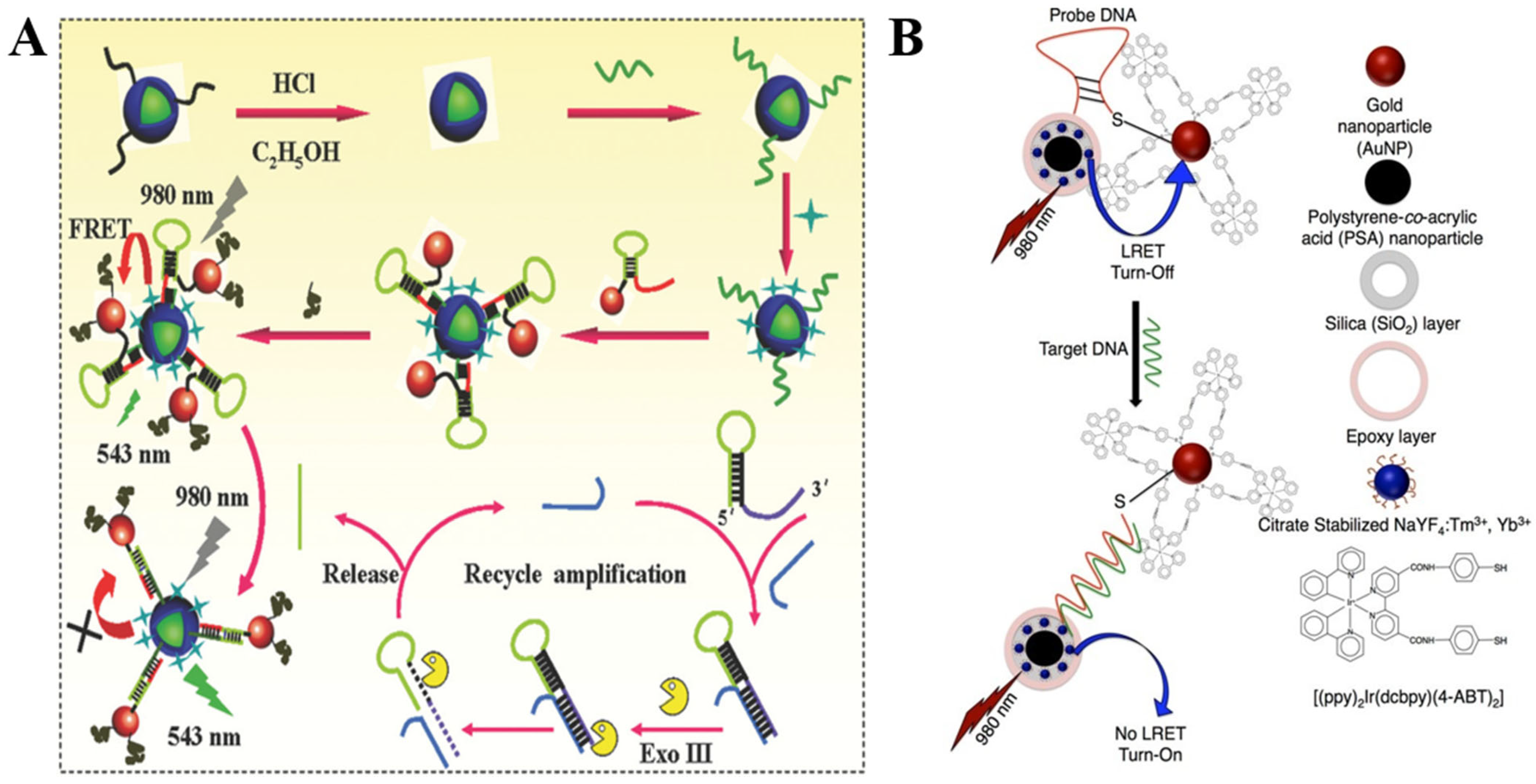 Biosensors 13 00306 g004
