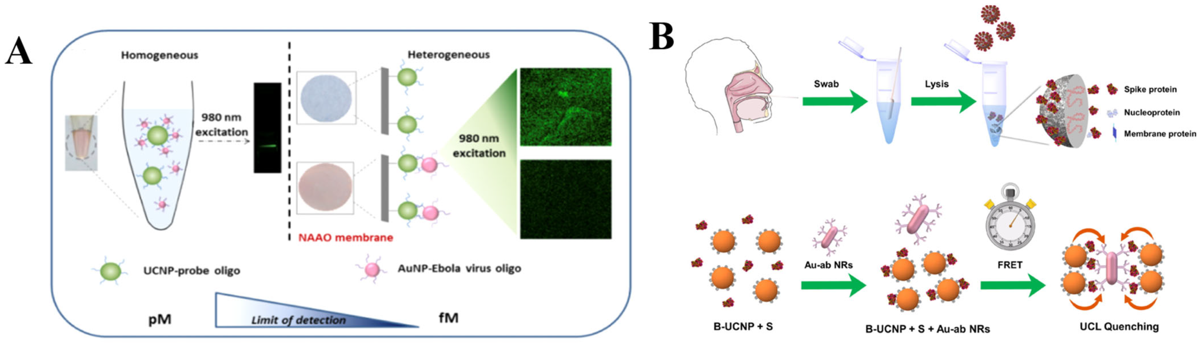Biosensors 13 00306 g005