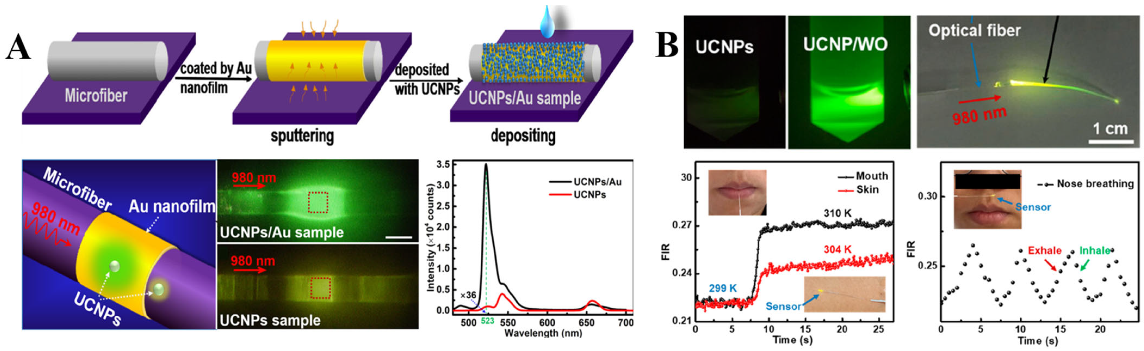 Biosensors 13 00306 g006