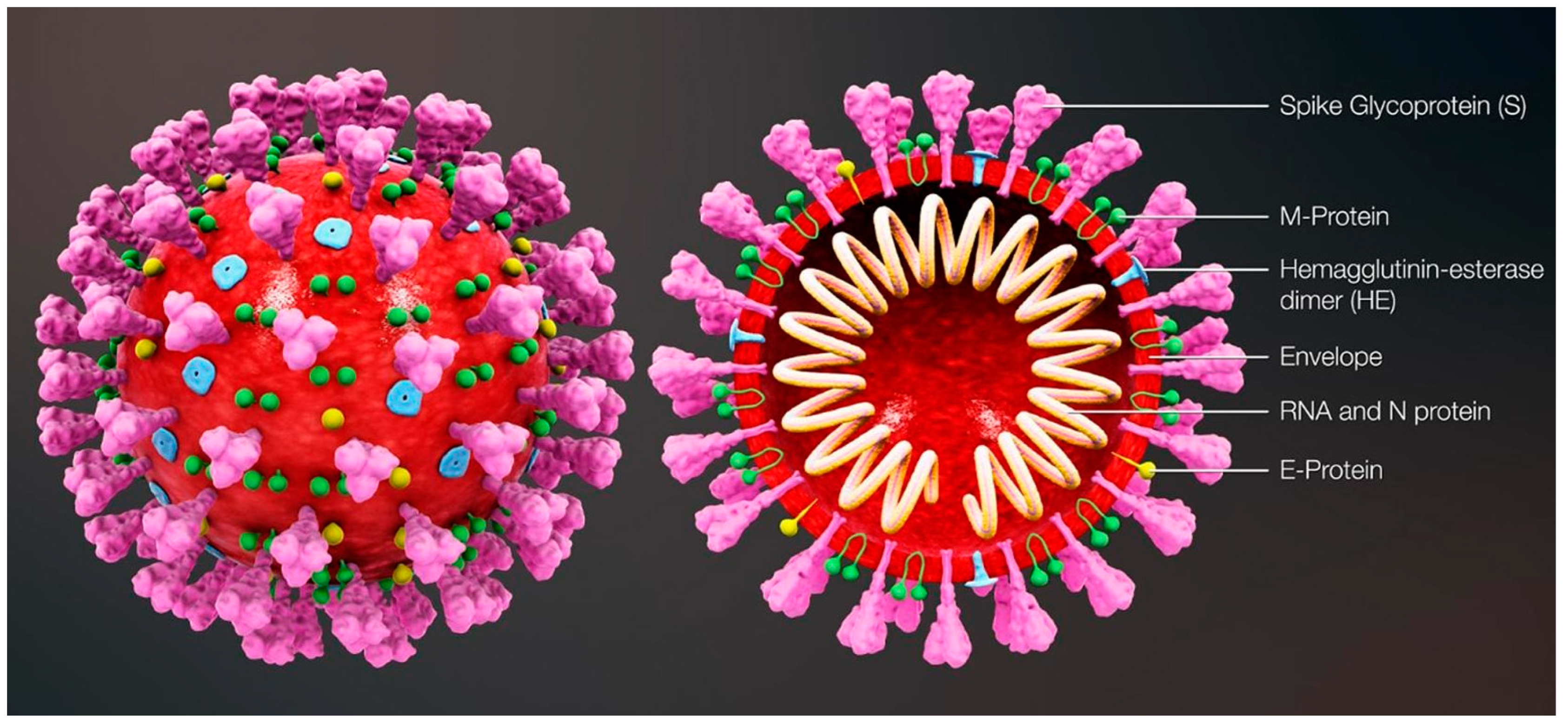 Biosensors 13 00307 g001 Biosensors 13 00307 g001