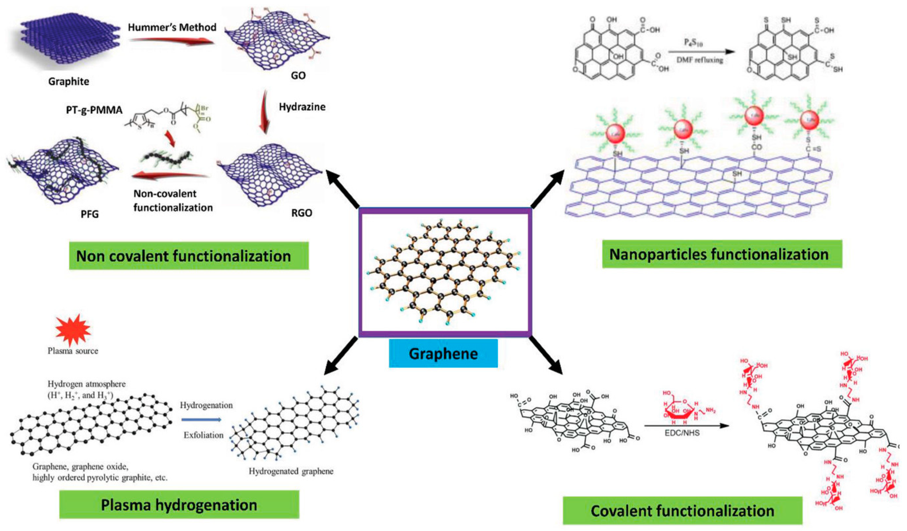 Biosensors 13 00307 g003 Biosensors 13 00307 g003