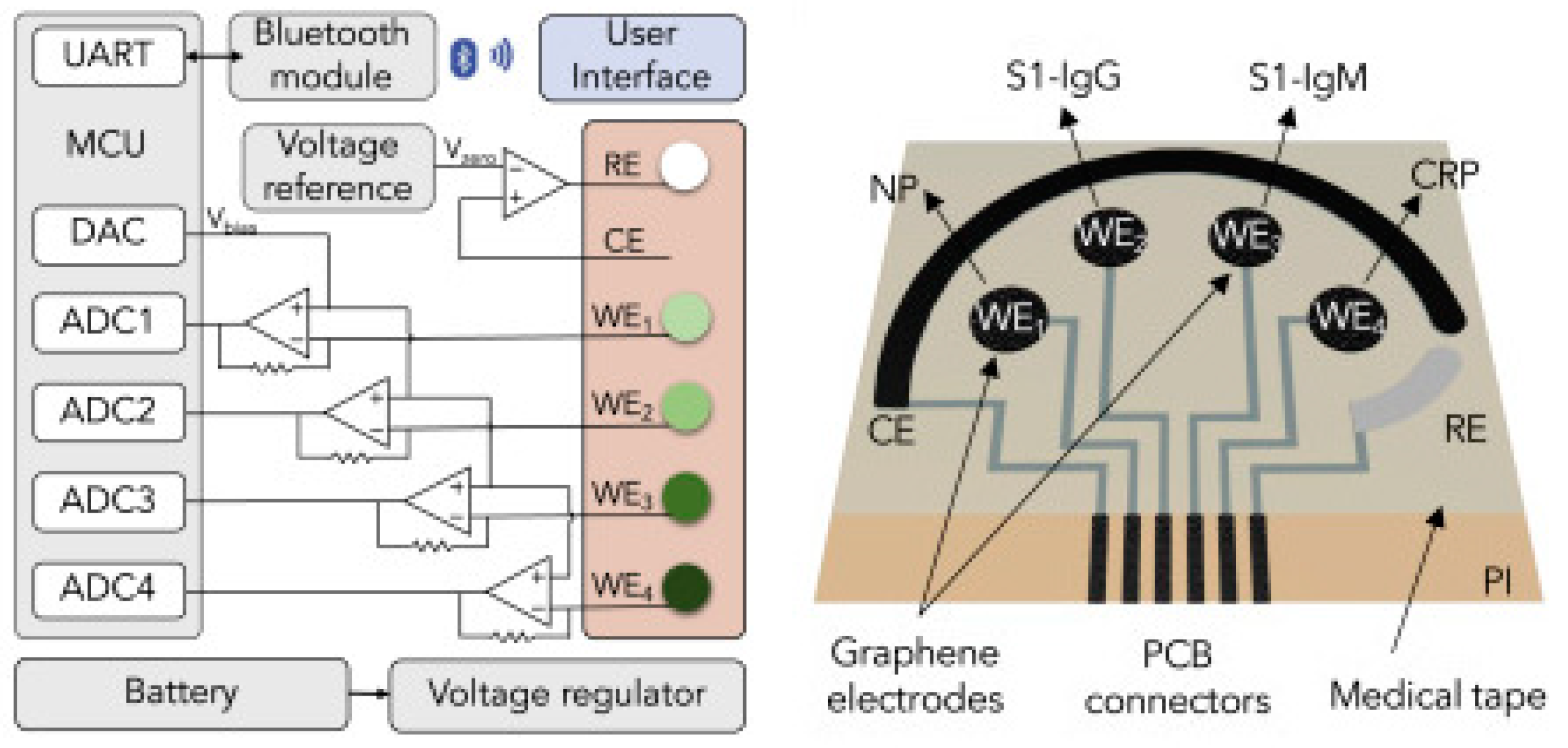Biosensors 13 00307 g009 Biosensors 13 00307 g009