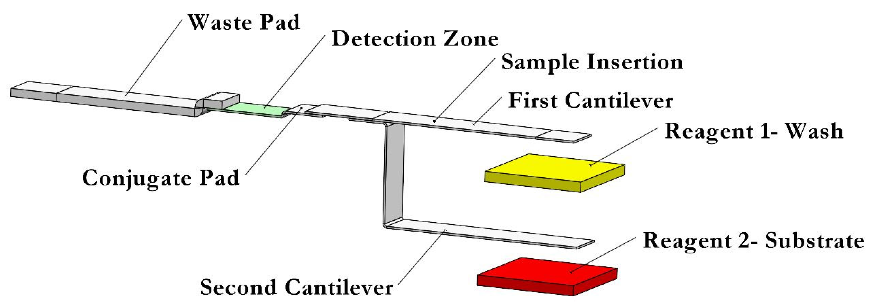Biosensors 13 00310 g001