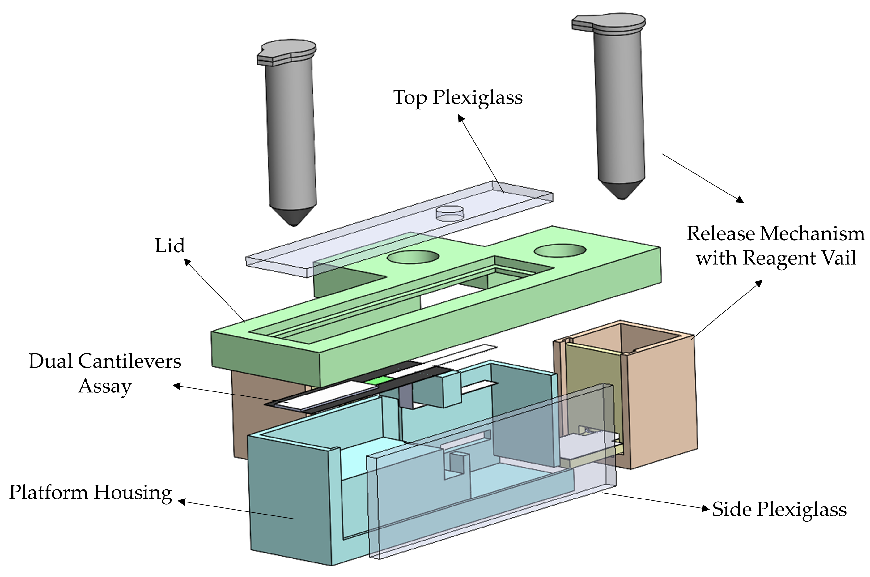 Biosensors 13 00310 g004